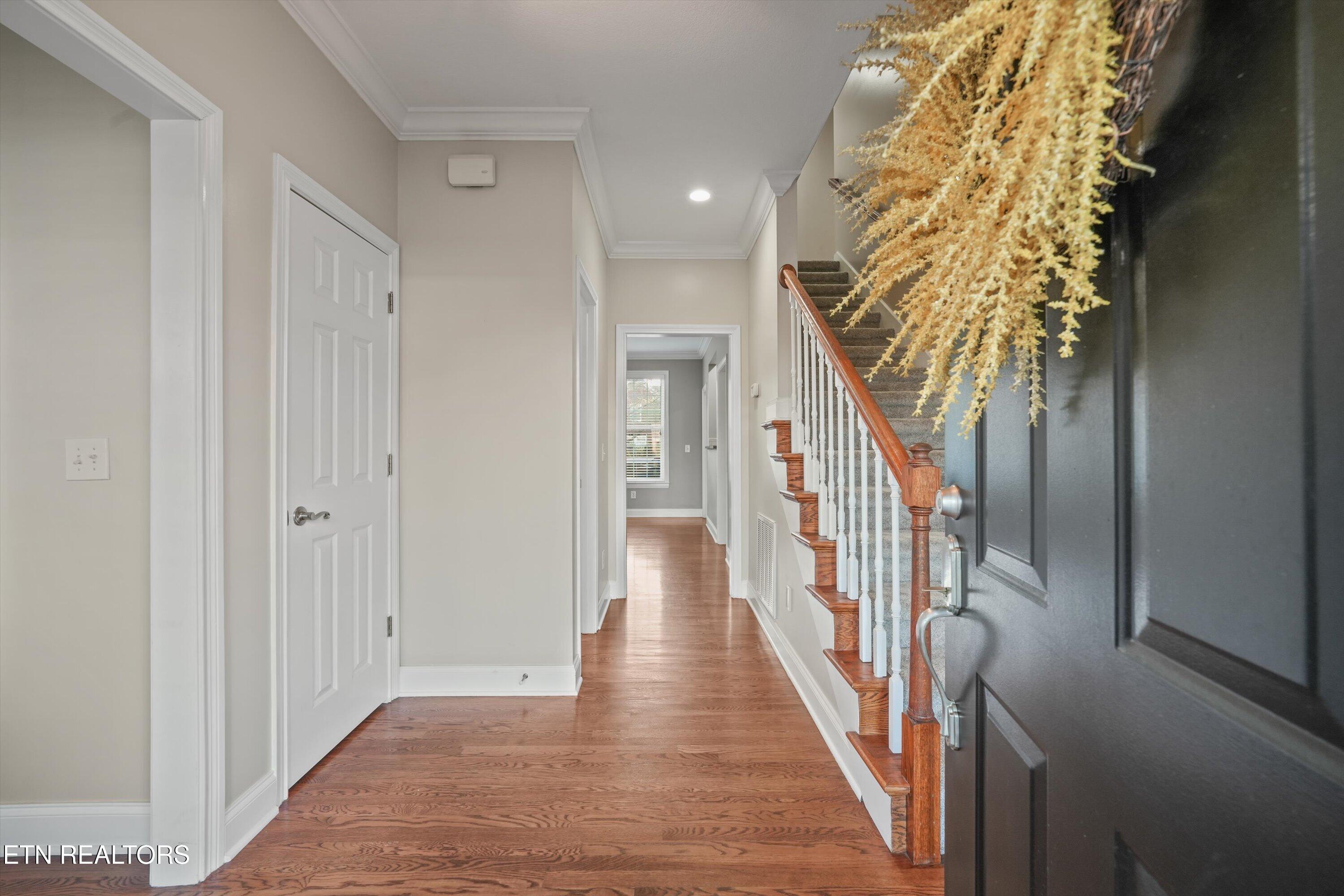 1108 Canvas Back Lane Knoxville TN 37922