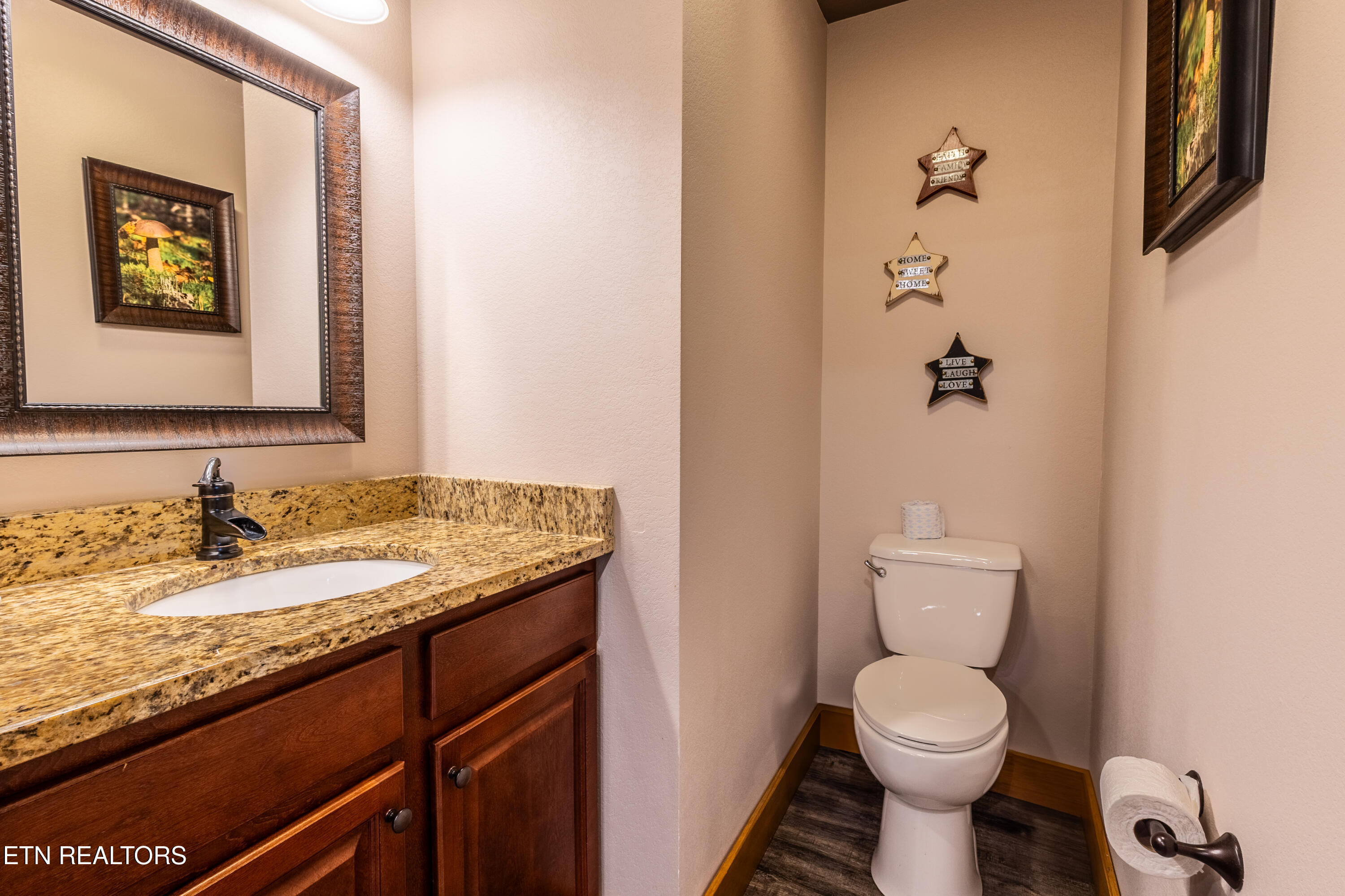 1128 Anastasia Way Gatlinburg TN 37738