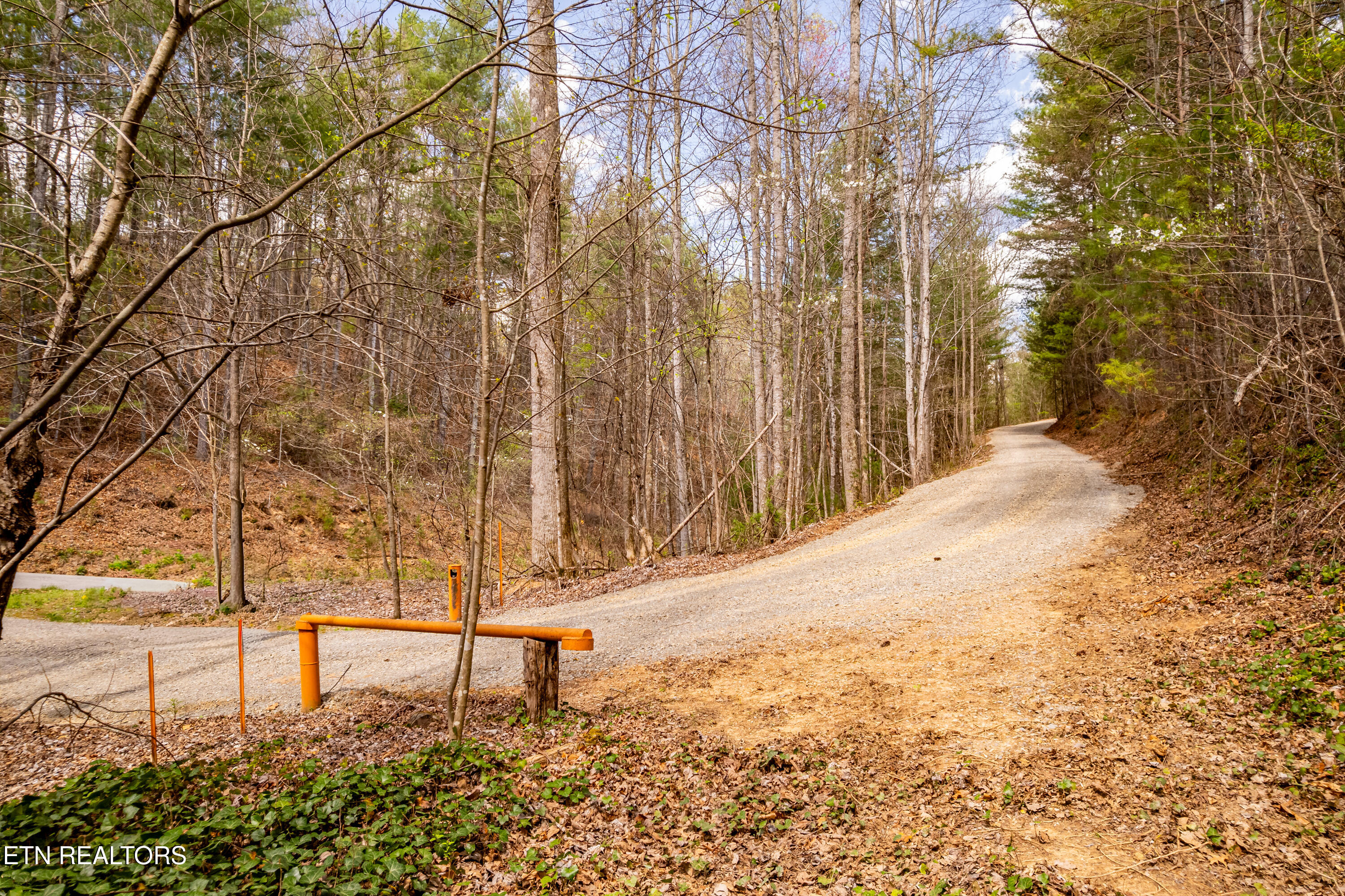 1700 Rafter Road Tellico Plains TN 37385