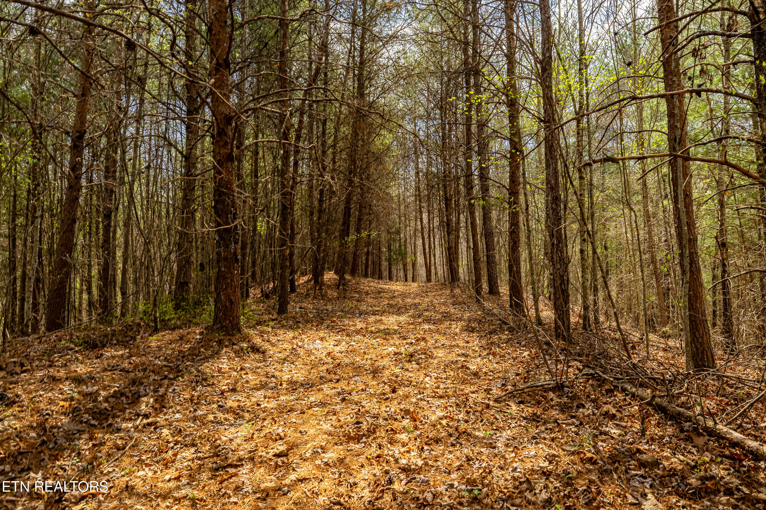 1700 Rafter Road Tellico Plains TN 37385