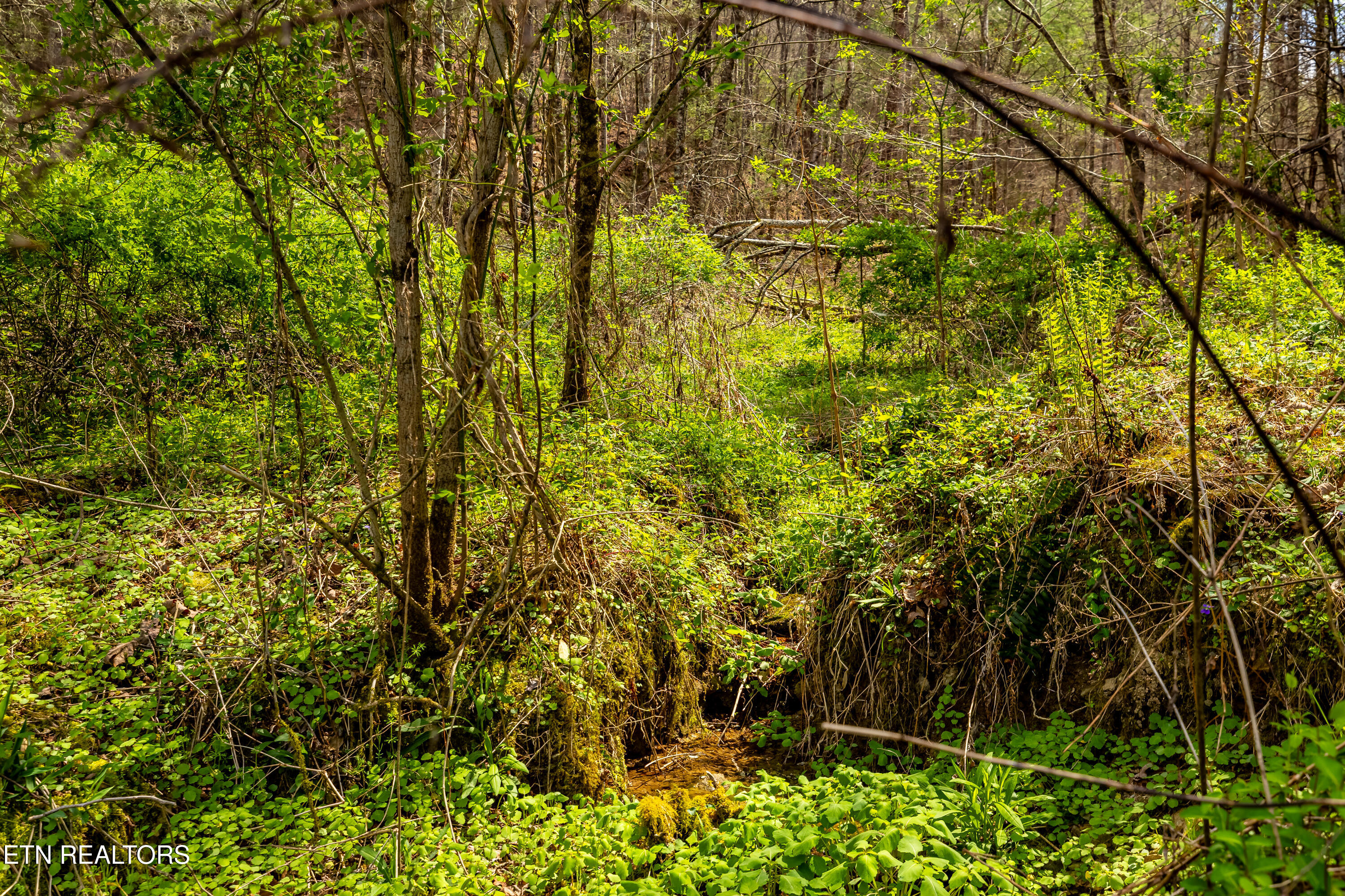 1700 Rafter Road Tellico Plains TN 37385