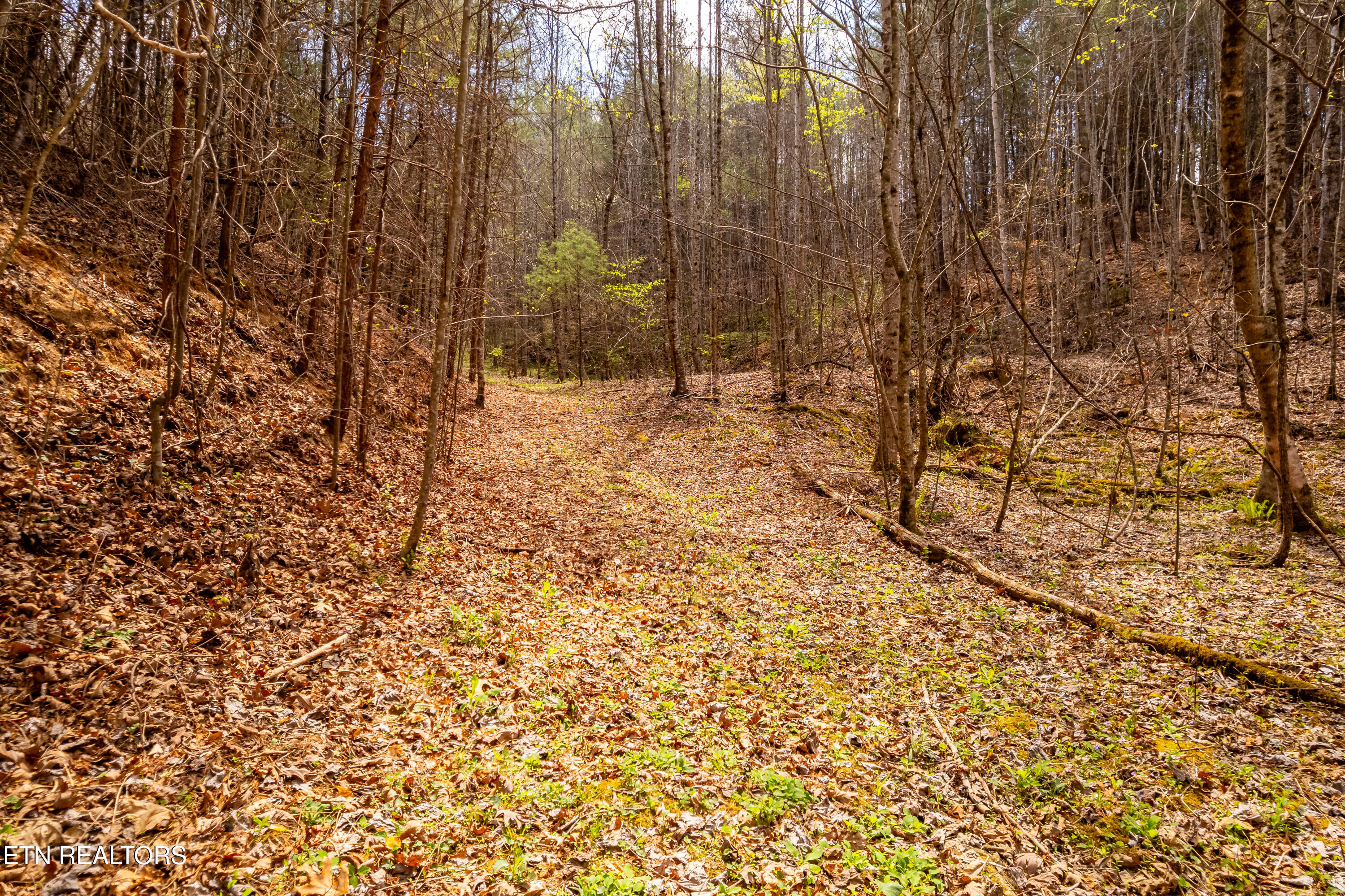 1700 Rafter Road Tellico Plains TN 37385