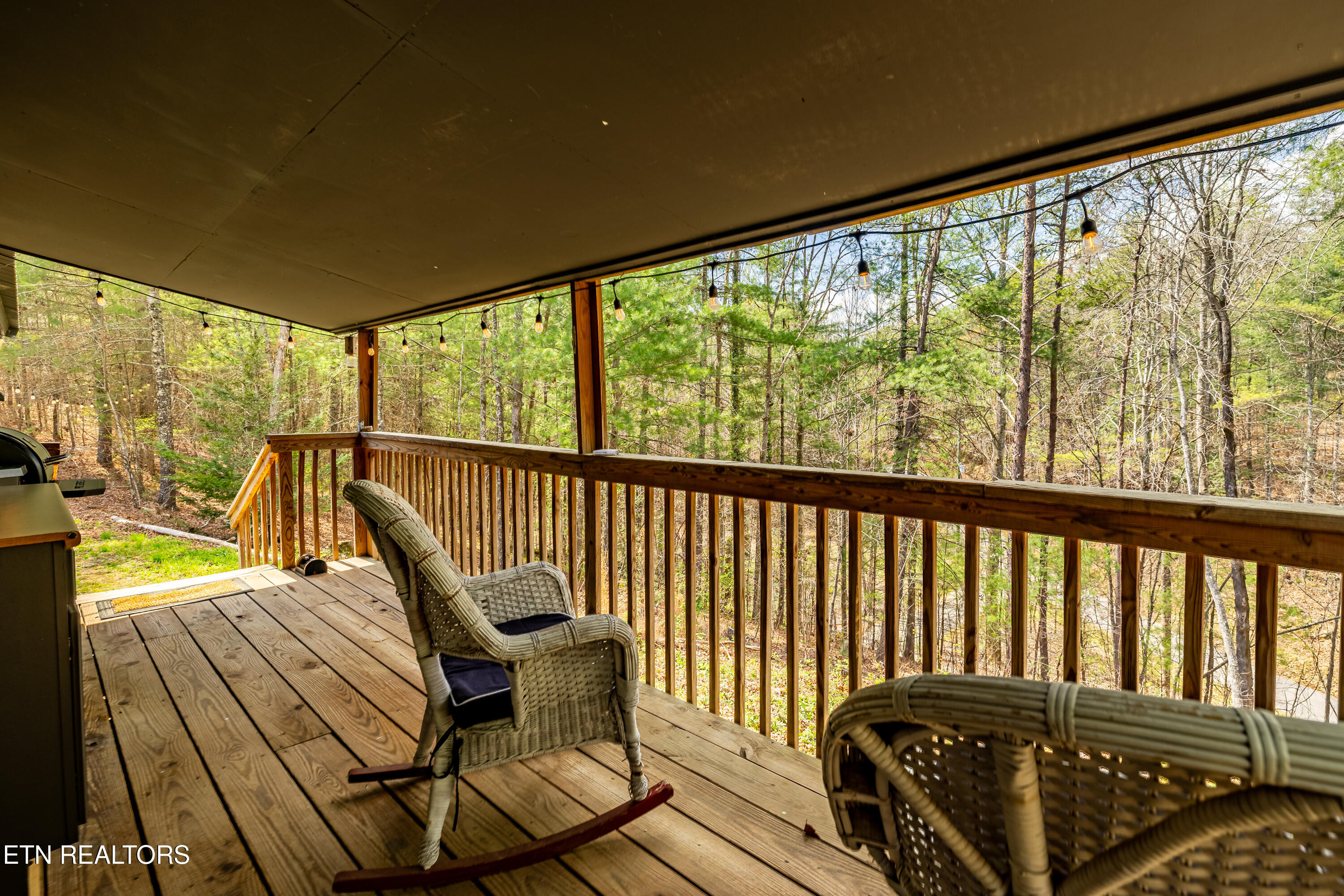 1700 Rafter Road Tellico Plains TN 37385