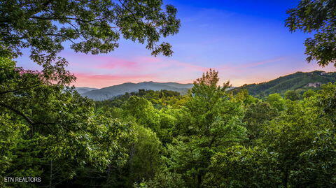 1135 Shady Grove Lane Gatlinburg TN 37738
