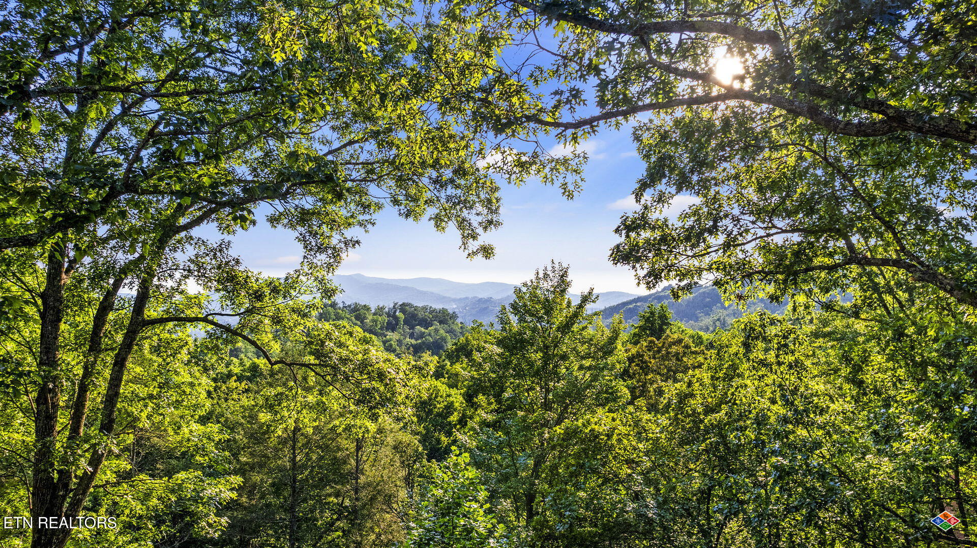 1135 Shady Grove Lane Gatlinburg TN 37738