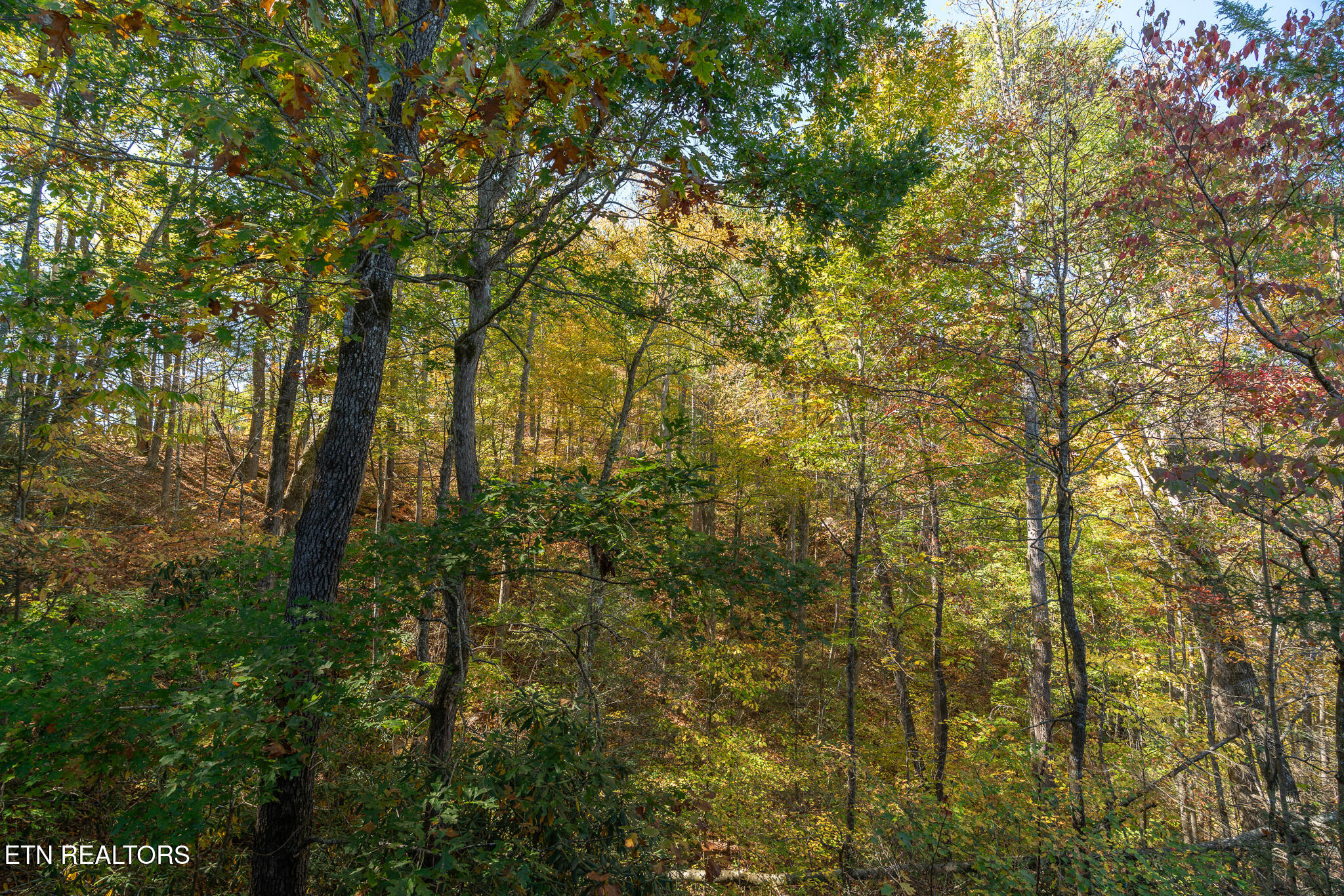 753 Glory Ridge Way Gatlinburg TN 37738