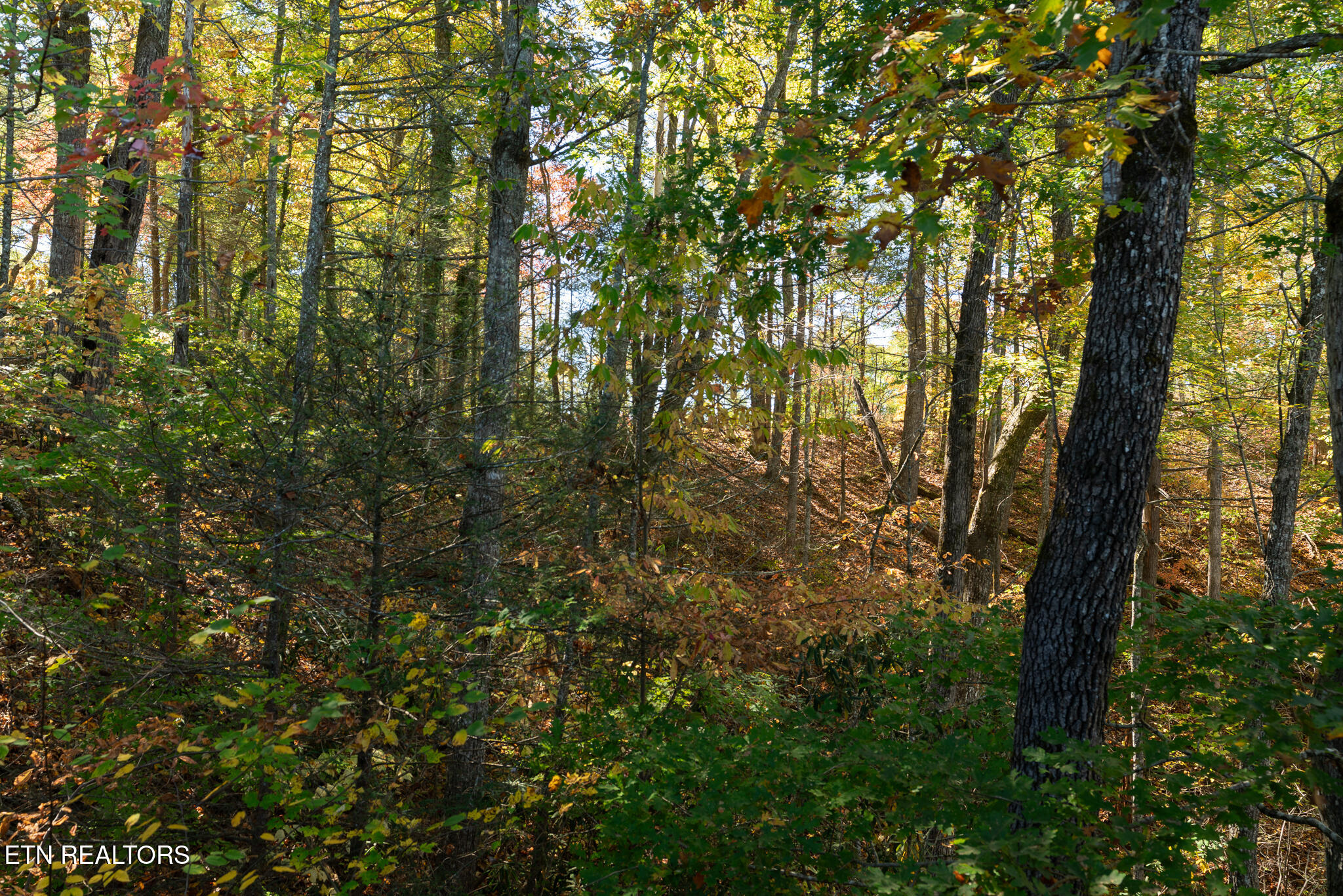 753 Glory Ridge Way Gatlinburg TN 37738