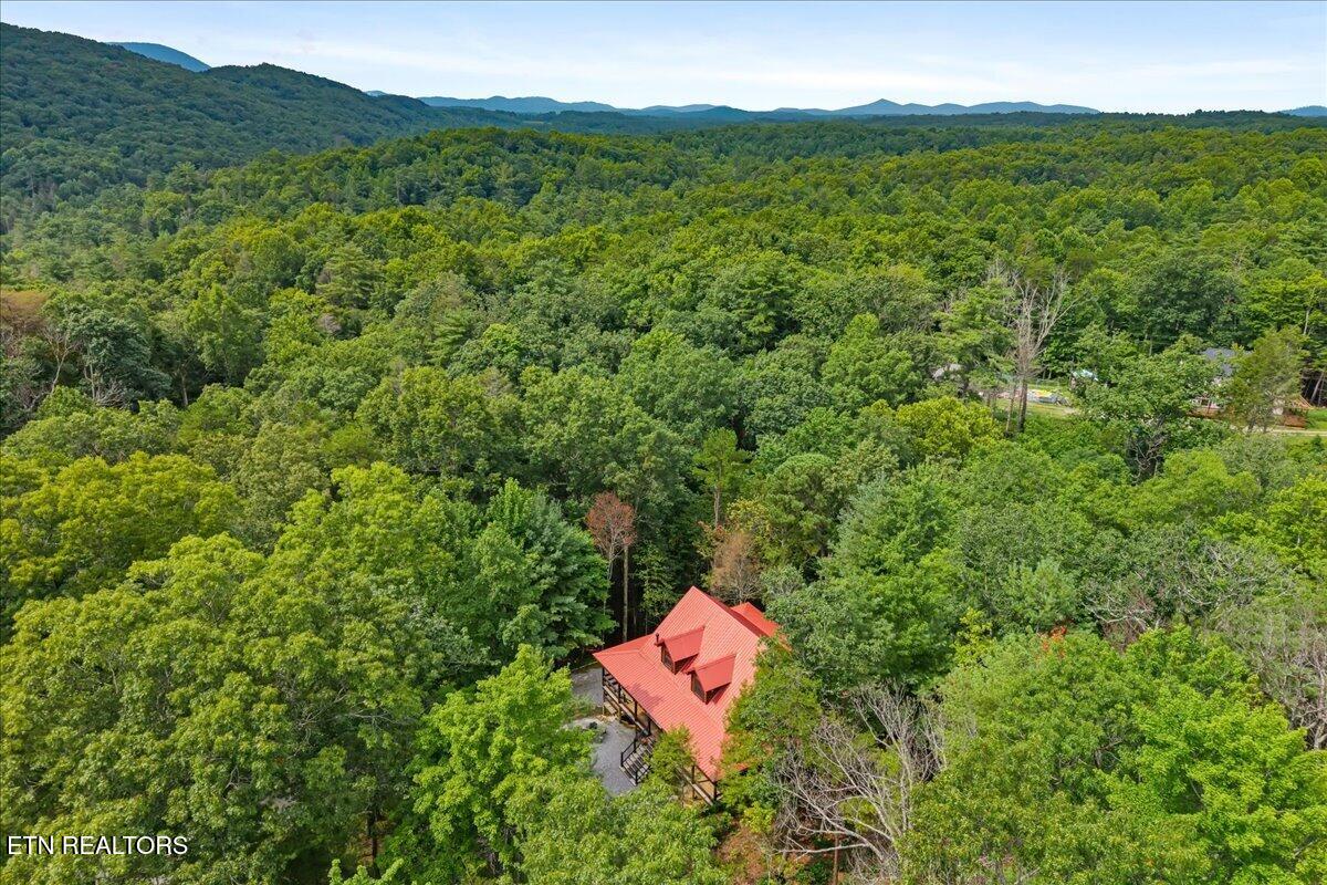 205 Holder Cemetery Road Tellico Plains TN 37385