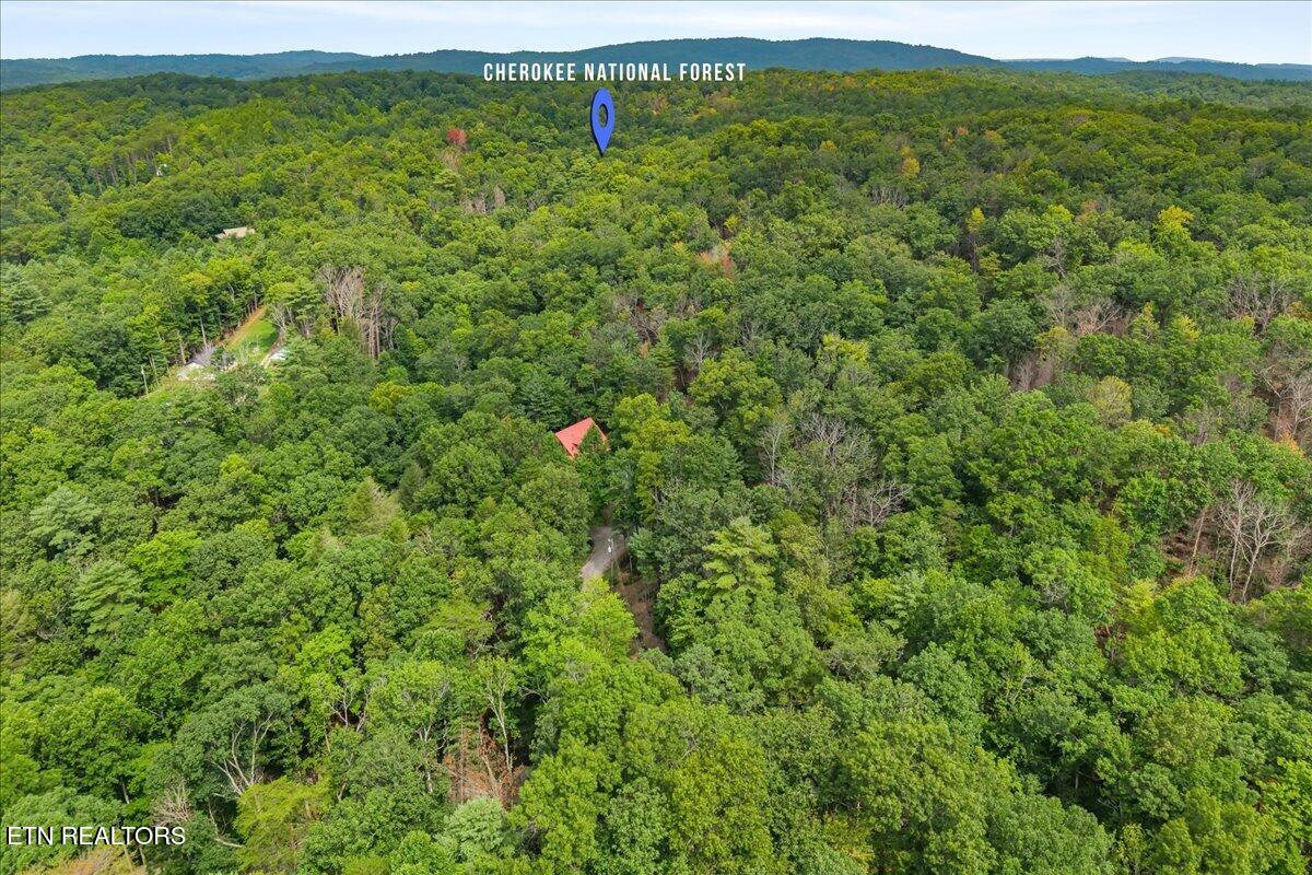 205 Holder Cemetery Road Tellico Plains TN 37385