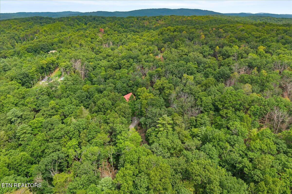 205 Holder Cemetery Road Tellico Plains TN 37385