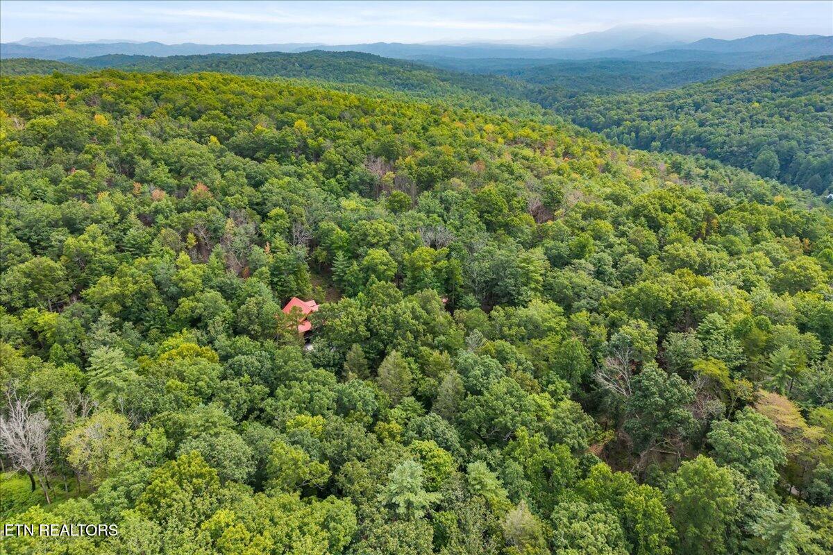 205 Holder Cemetery Road Tellico Plains TN 37385