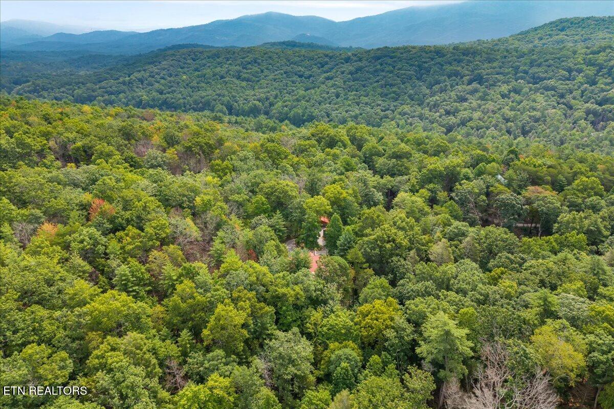 205 Holder Cemetery Road Tellico Plains TN 37385