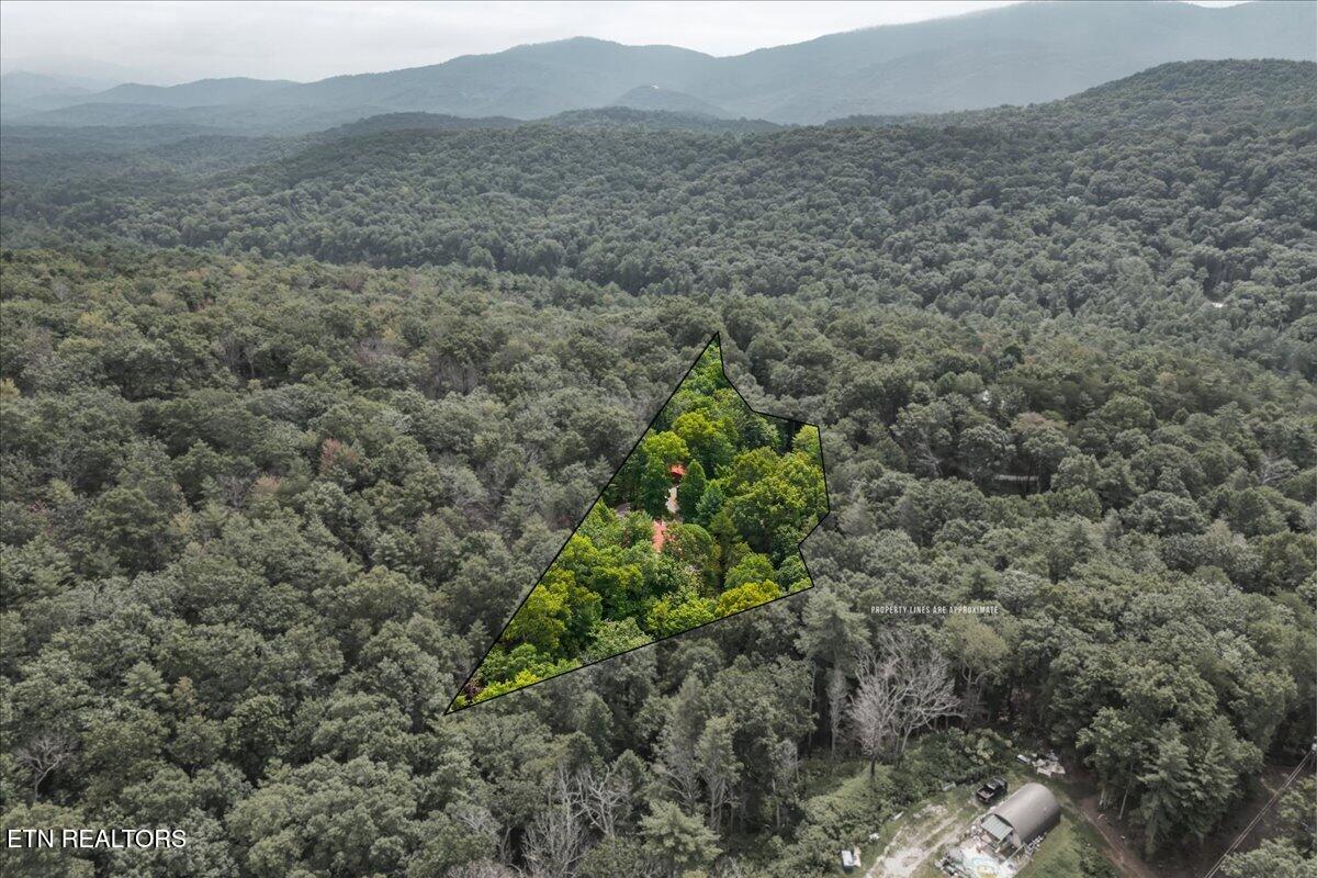 205 Holder Cemetery Road Tellico Plains TN 37385