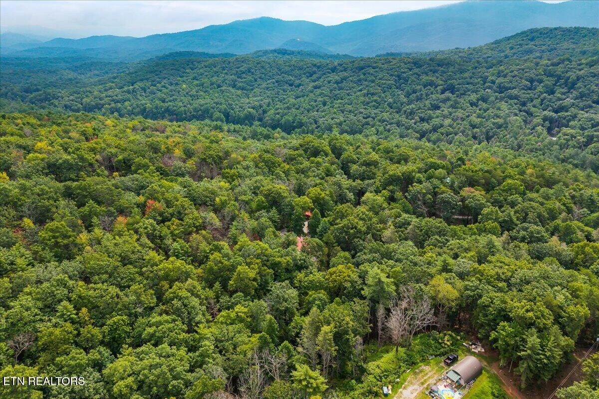 205 Holder Cemetery Road Tellico Plains TN 37385