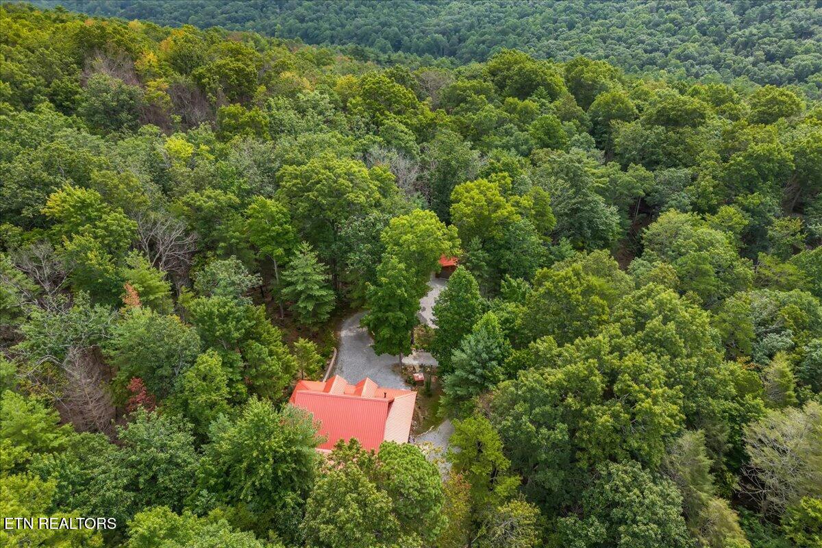 205 Holder Cemetery Road Tellico Plains TN 37385