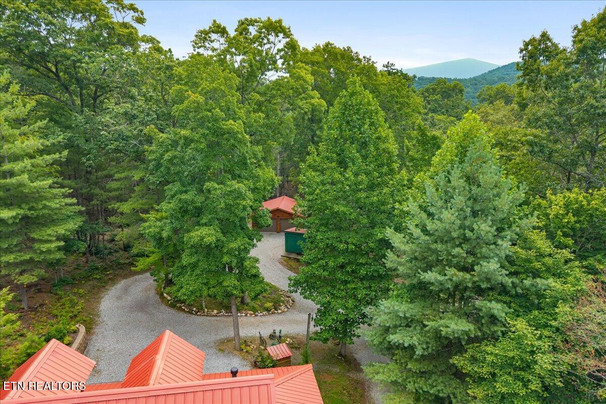 205 Holder Cemetery Road Tellico Plains TN 37385