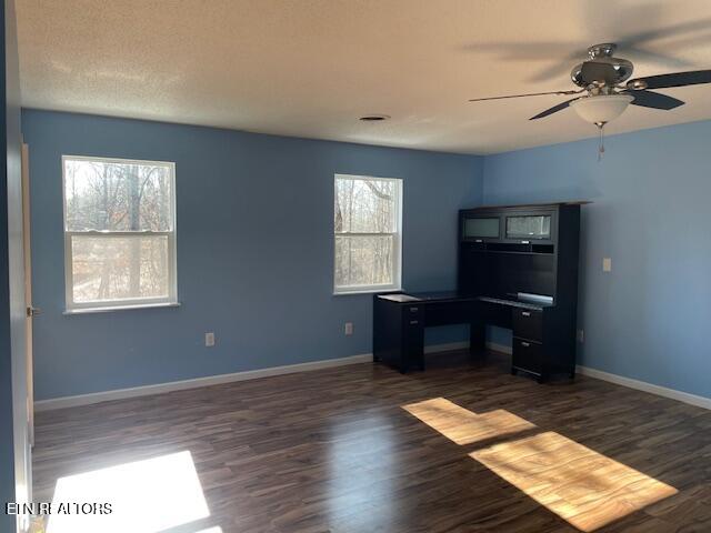 125 Walnut Lane Oneida TN 37841