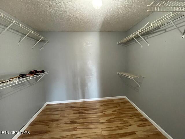 125 Walnut Lane Oneida TN 37841