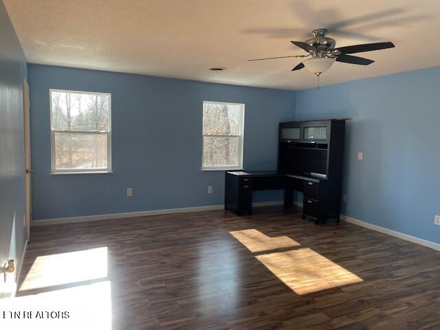 125 Walnut Lane Oneida TN 37841