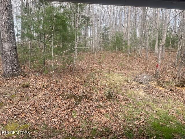 125 Walnut Lane Oneida TN 37841