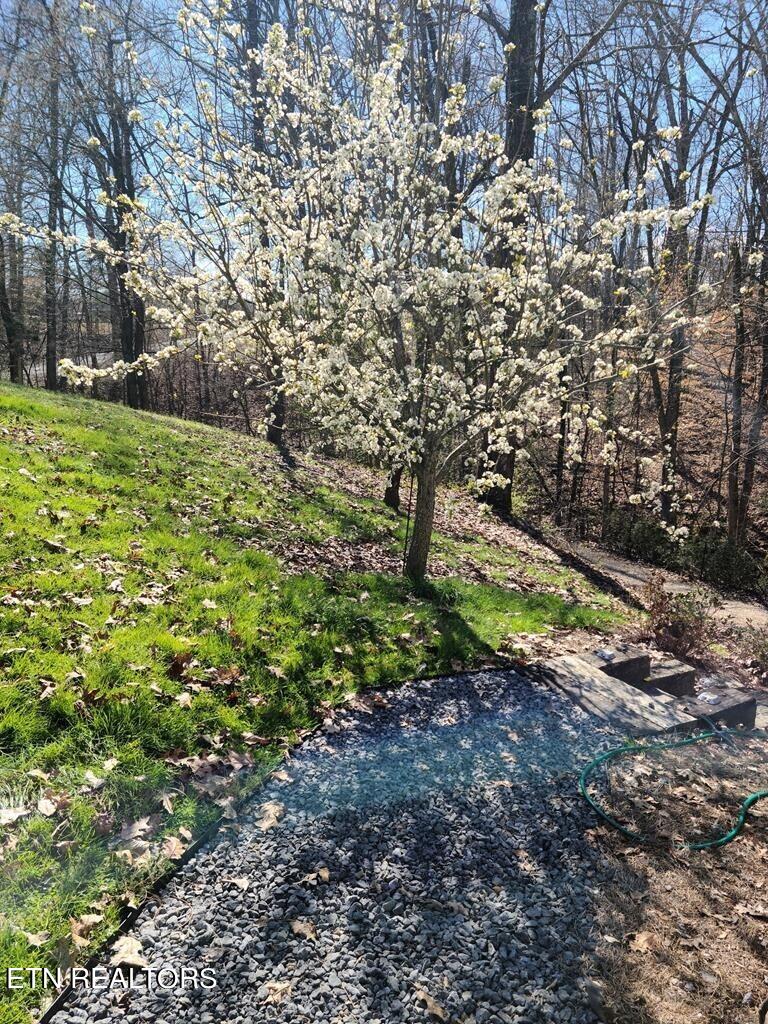 3416 Saint Andrews Drive Baneberry TN 37890