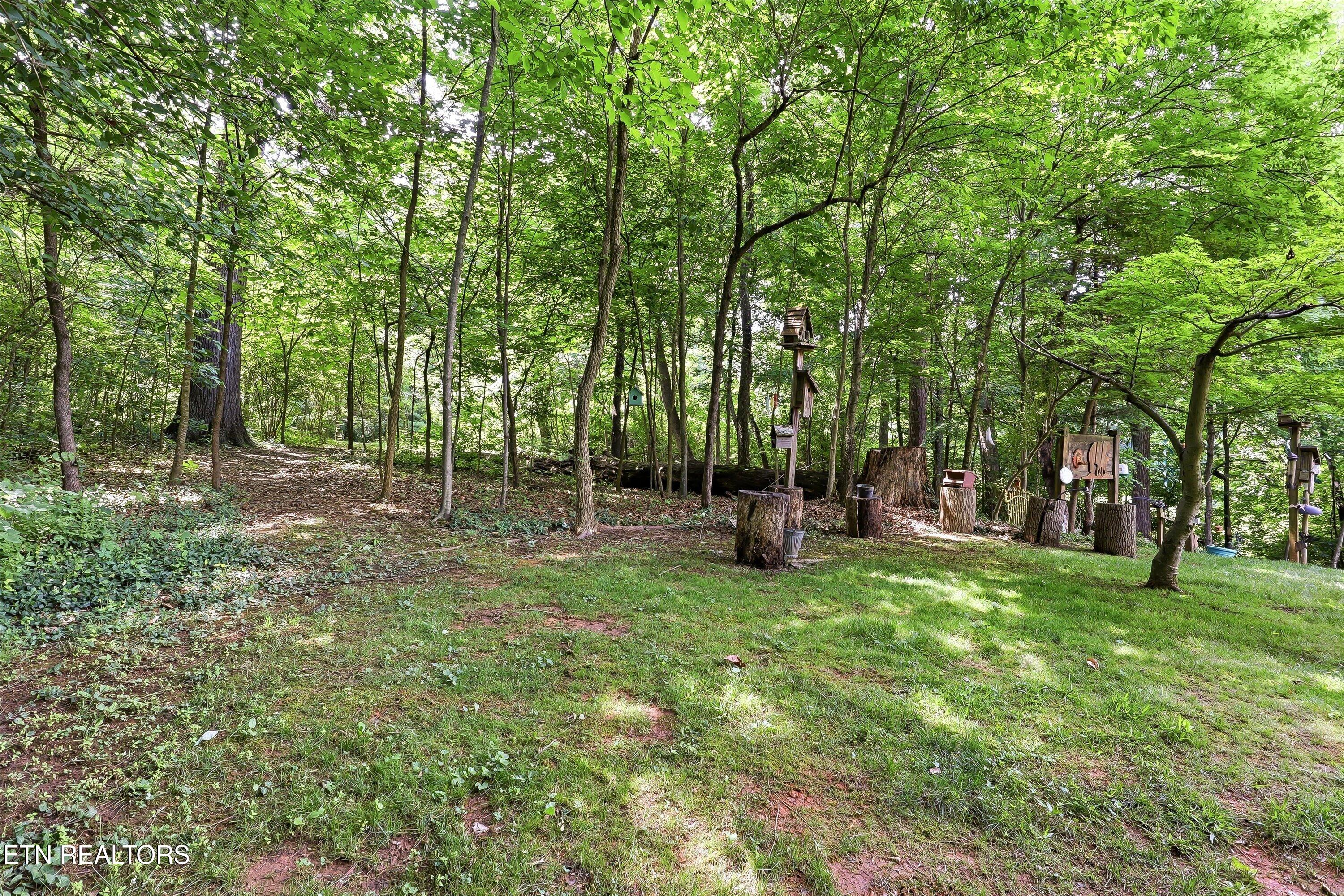 2337 Evergreen Road Louisville TN 37777