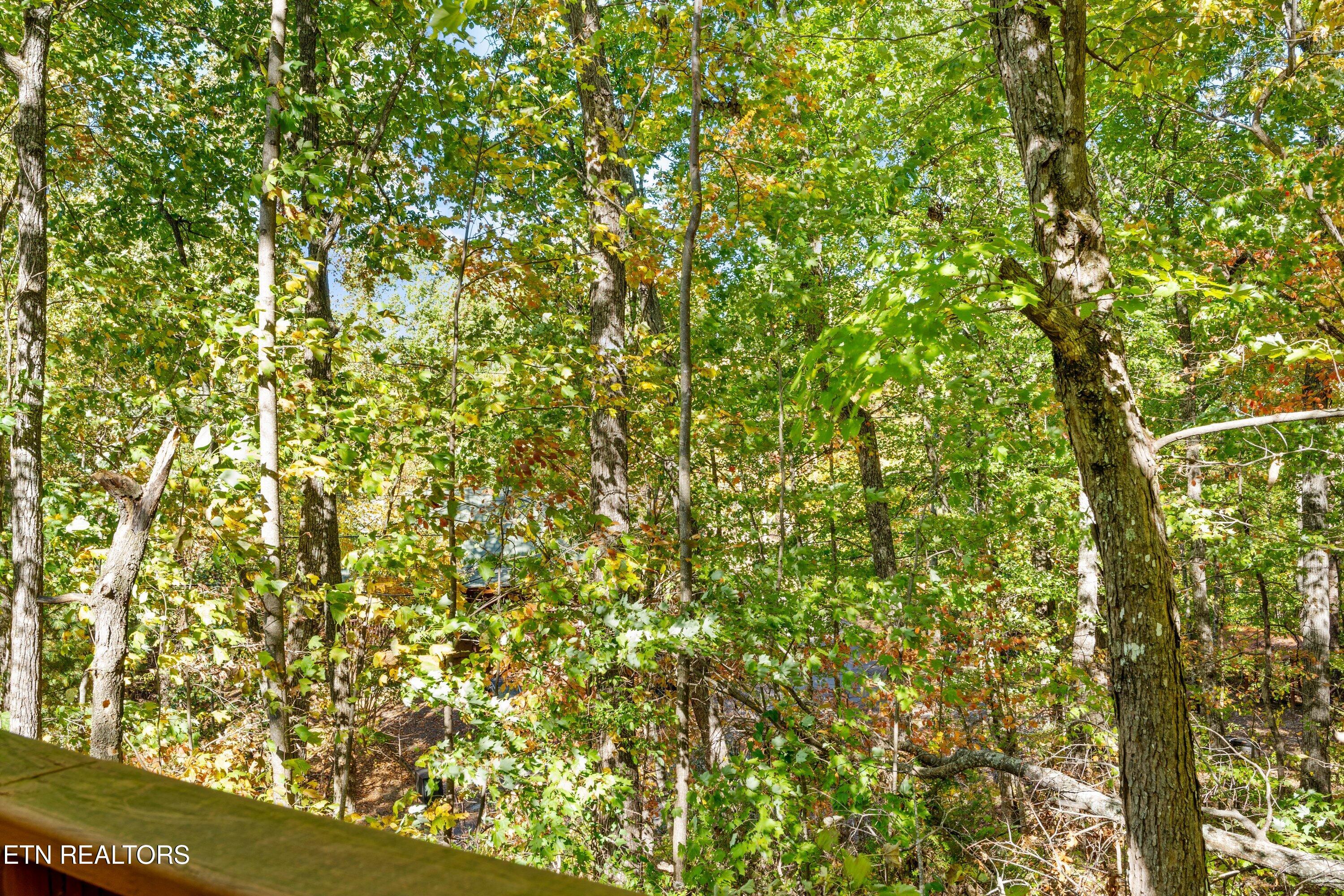 2302 E View Drive Sevierville TN 37876