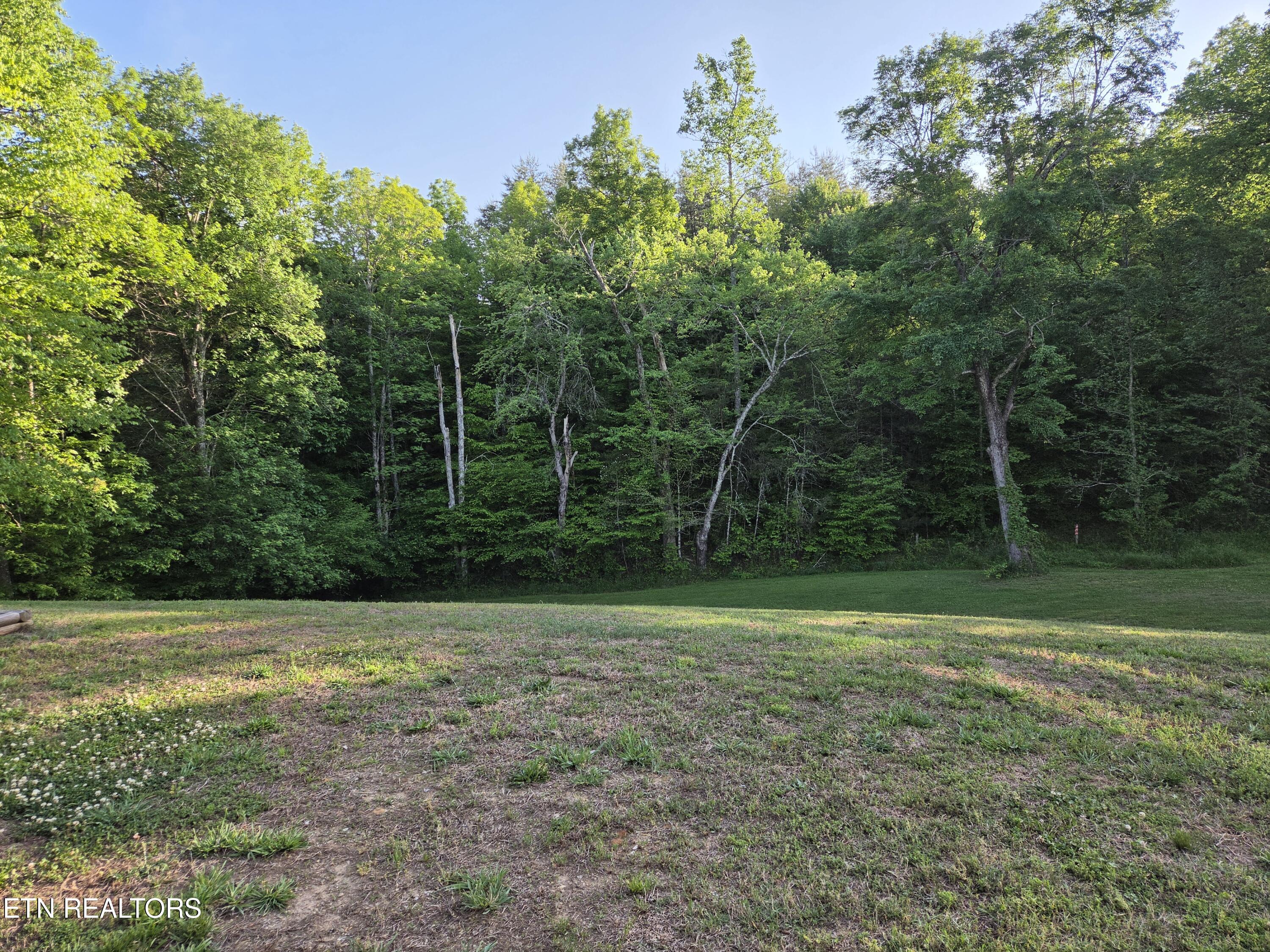 213 Tudor Hollow Road Andersonville TN 37705