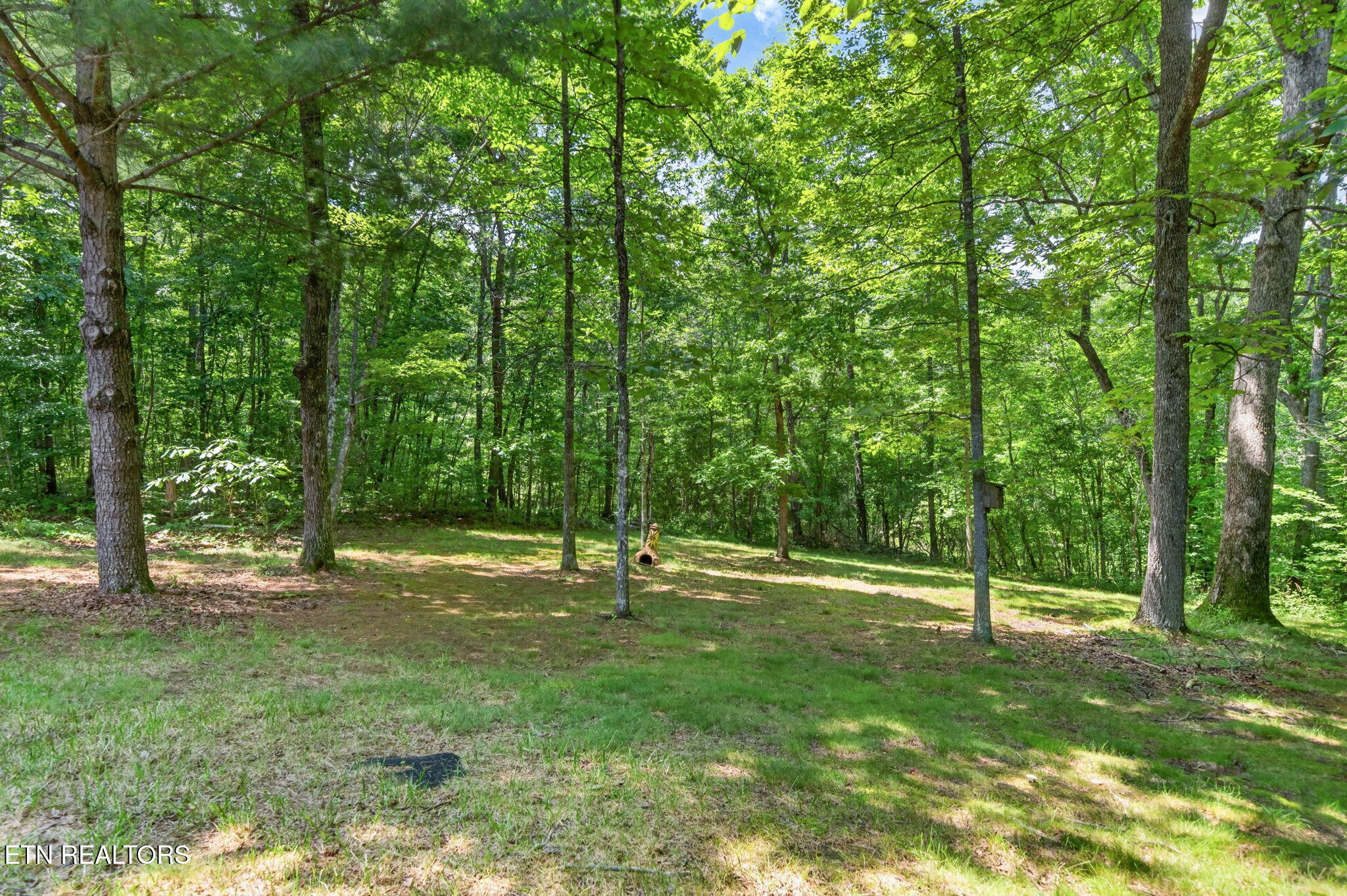 657 Lakeview Drive Crossville TN 38558