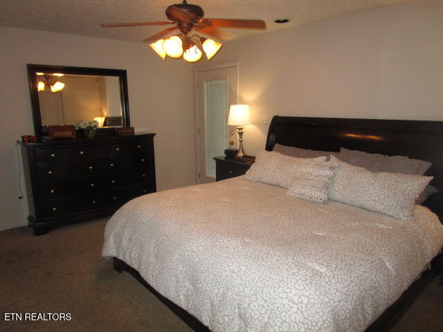 298 Cherokee Cove Rutledge TN 37861