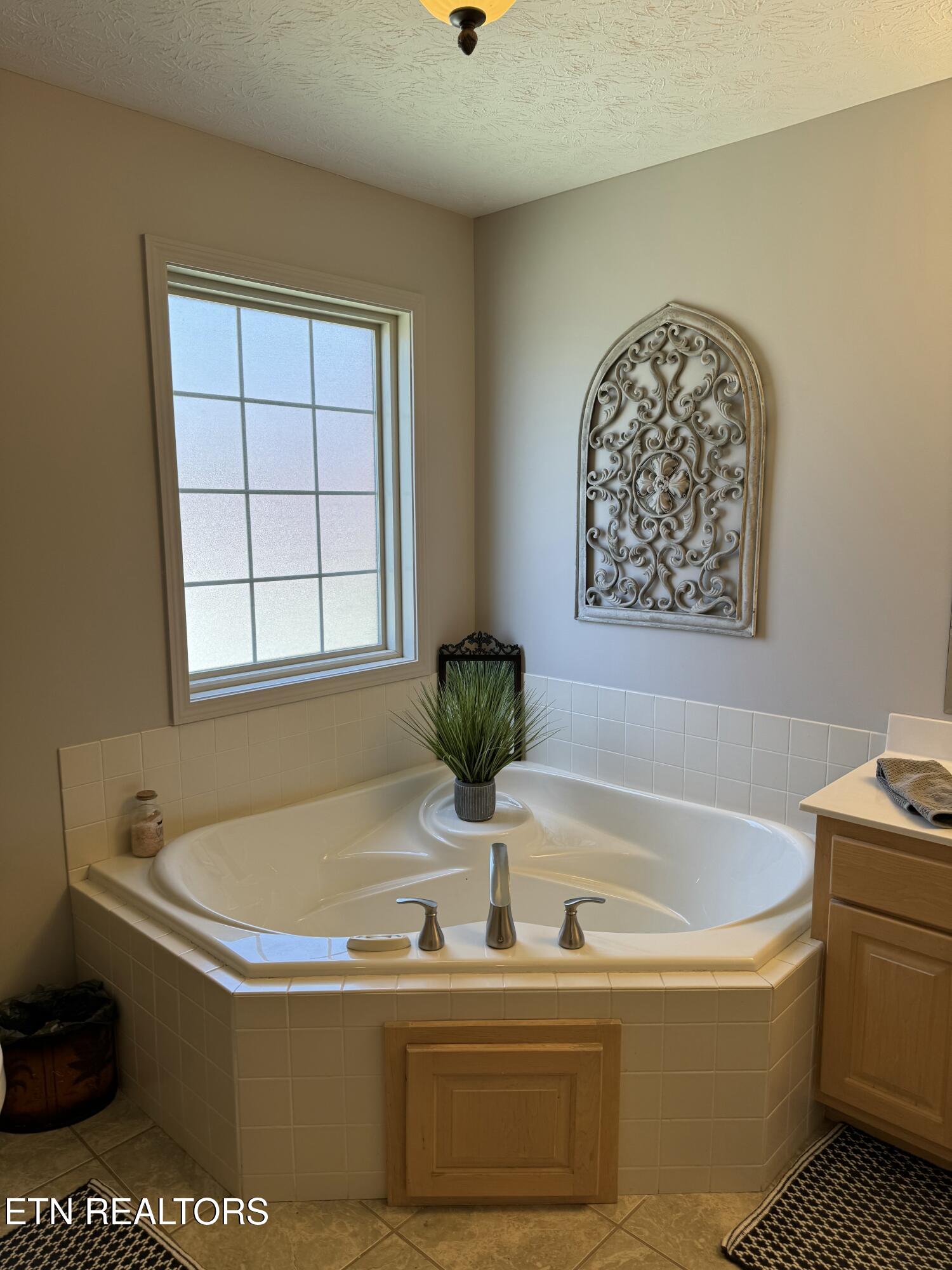 298 Cherokee Cove Rutledge TN 37861