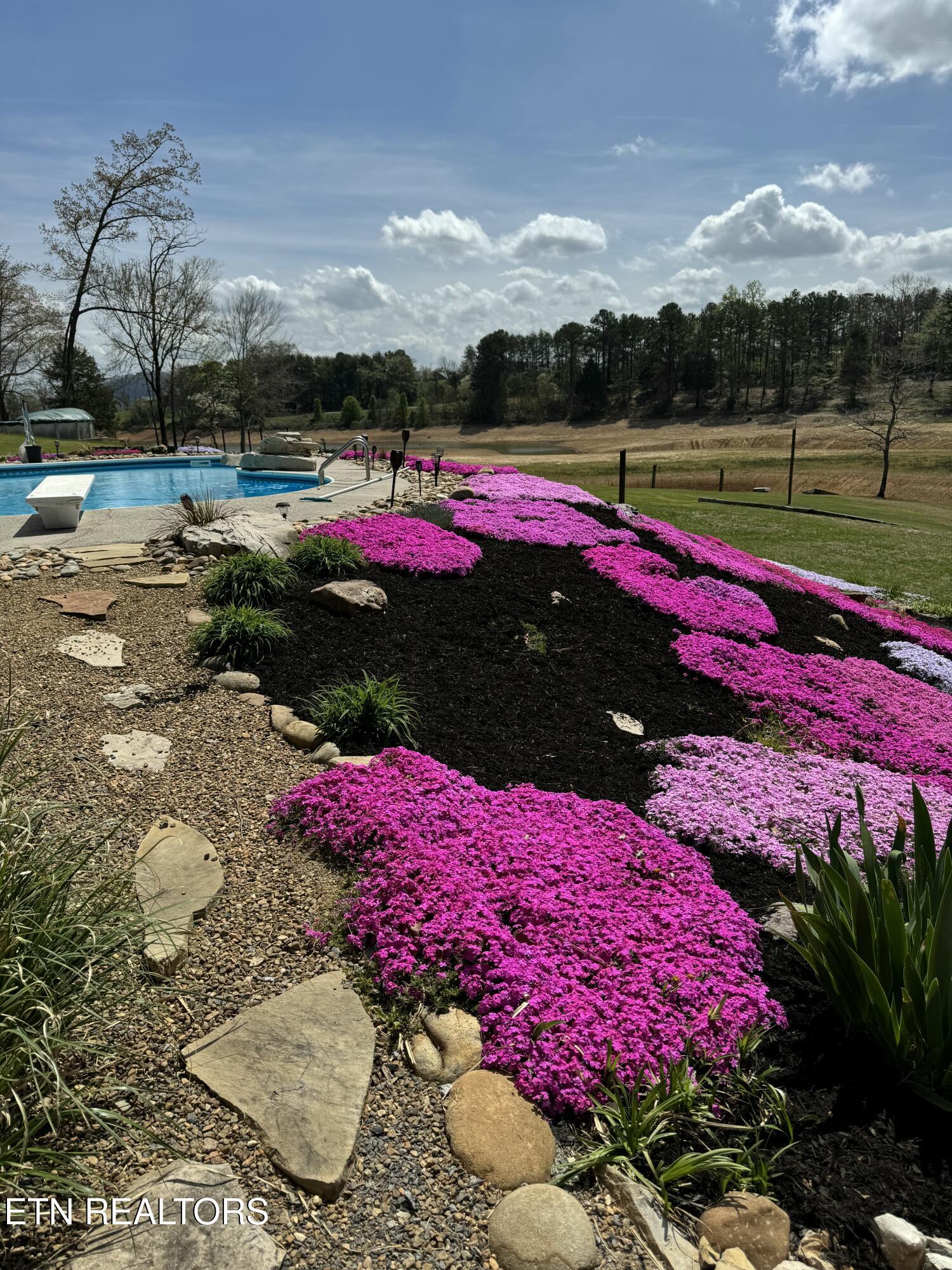 298 Cherokee Cove Rutledge TN 37861