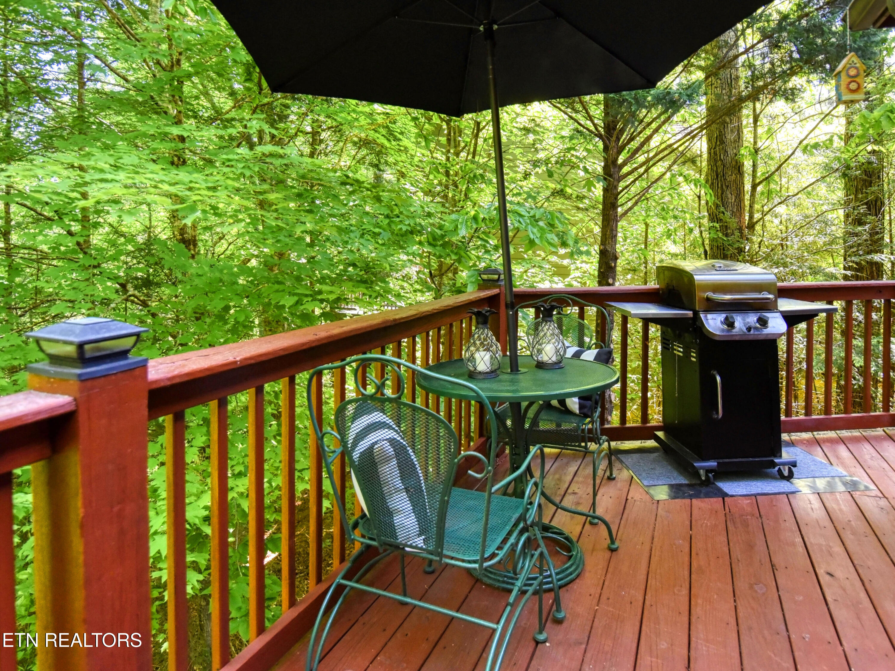 380 Laurel Road Townsend TN 37882