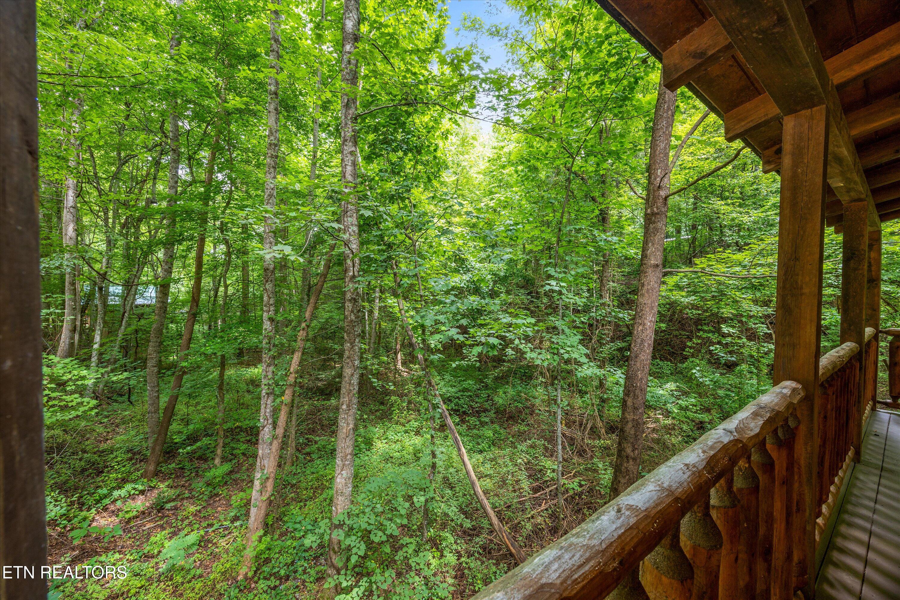 927 Stone Trail Sevierville TN 37876