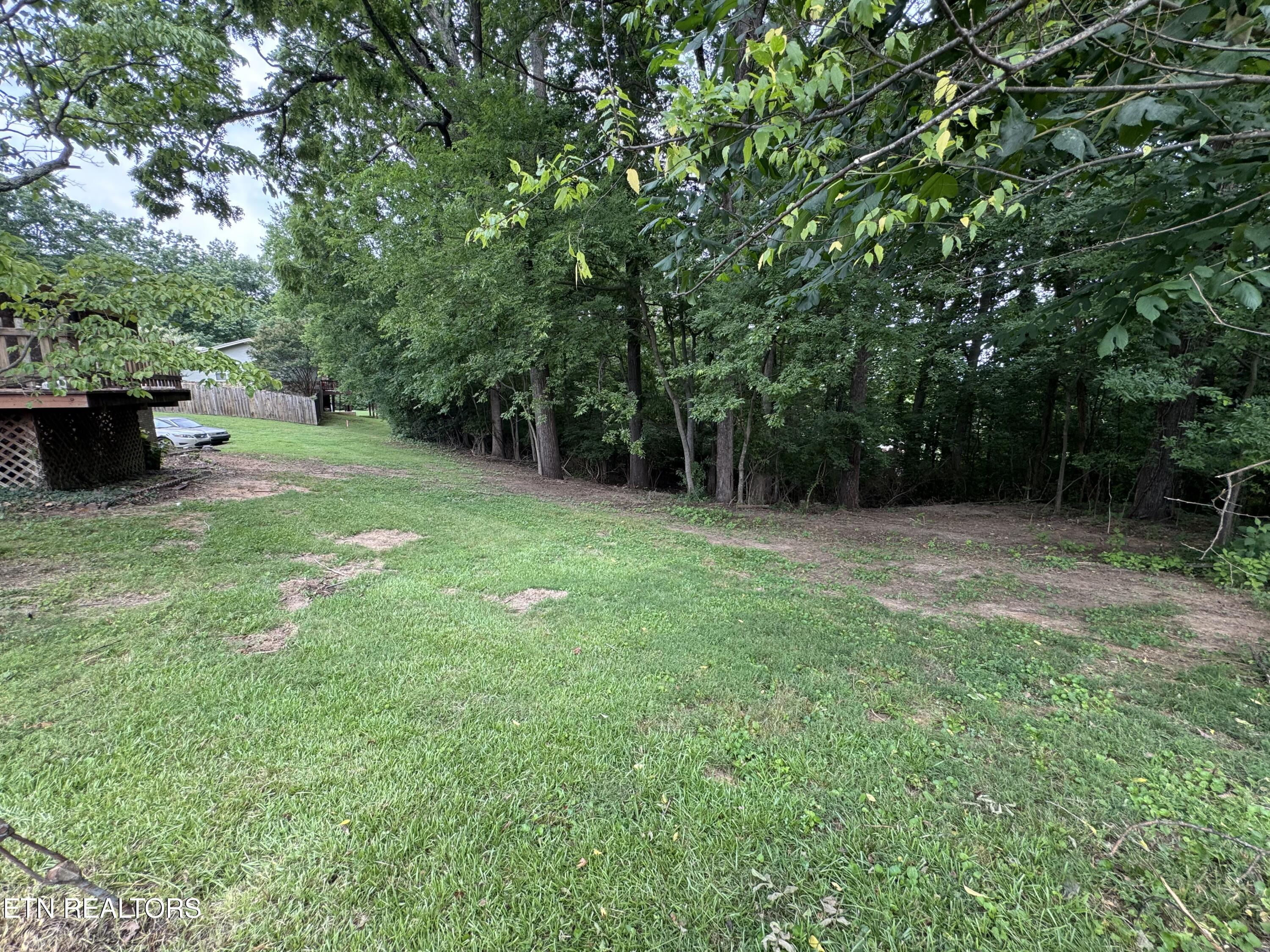 732 Greenbriar Road Talbott TN 37877