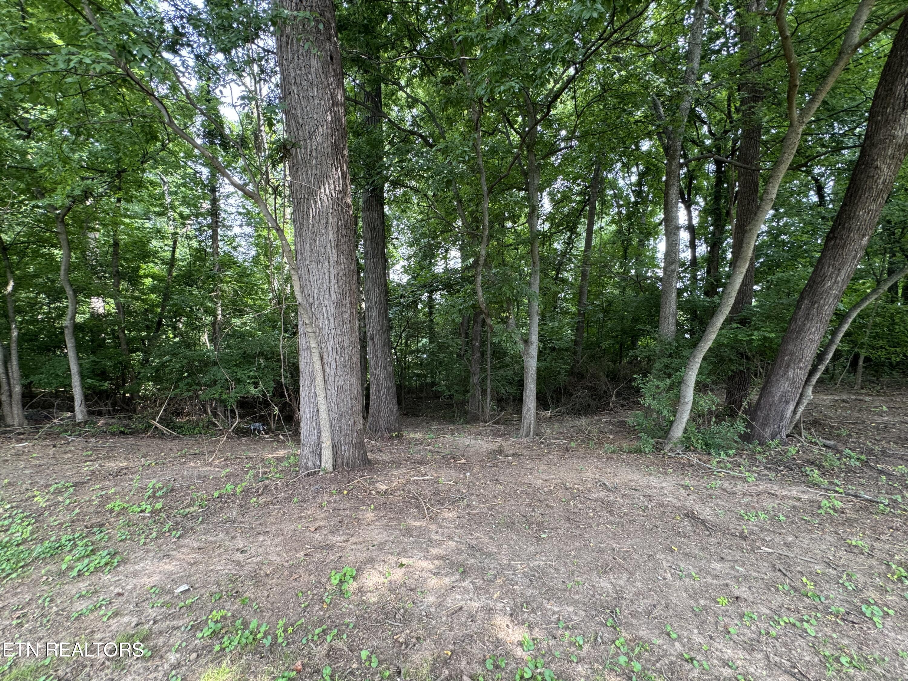 732 Greenbriar Road Talbott TN 37877