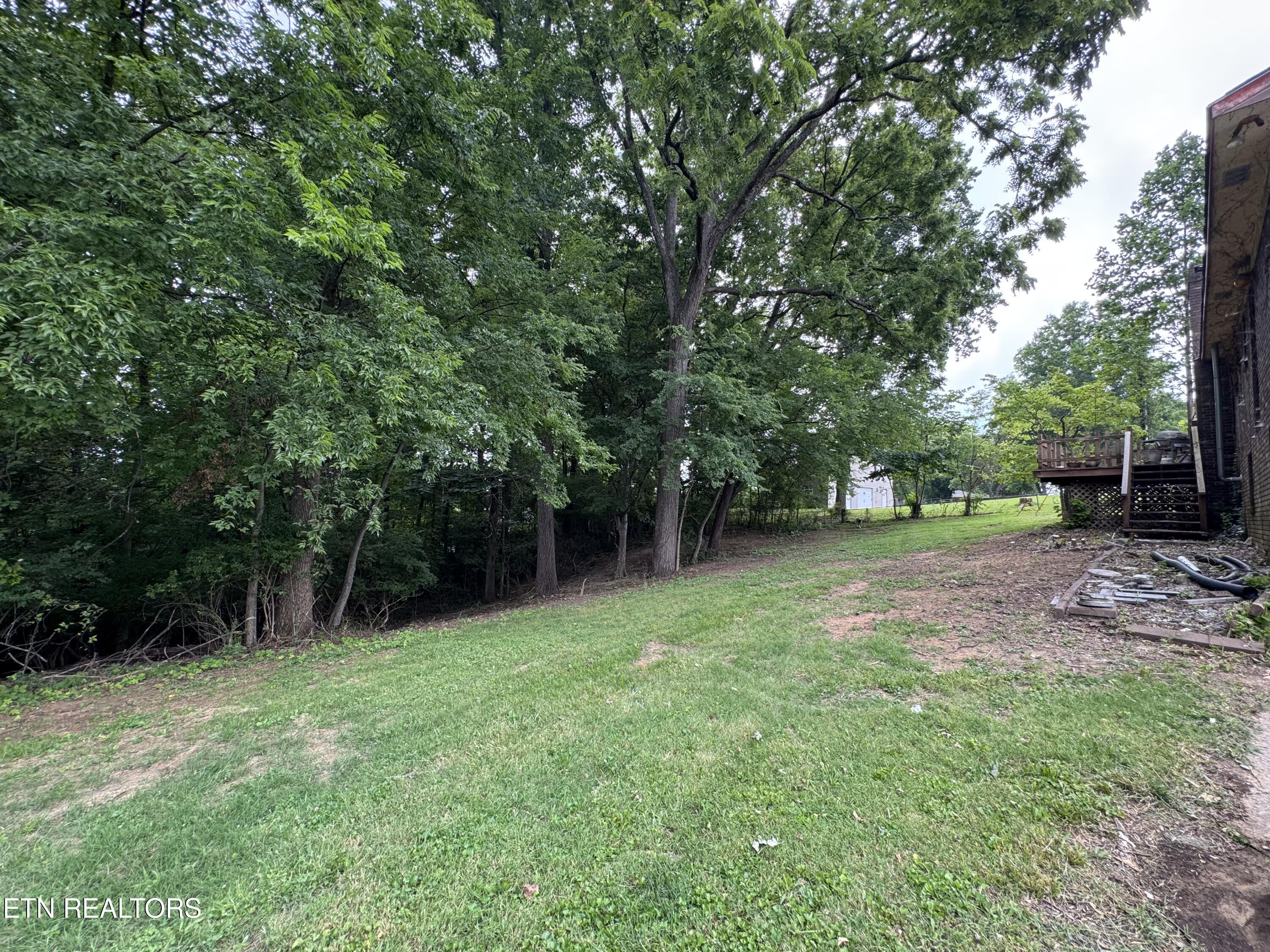 732 Greenbriar Road Talbott TN 37877