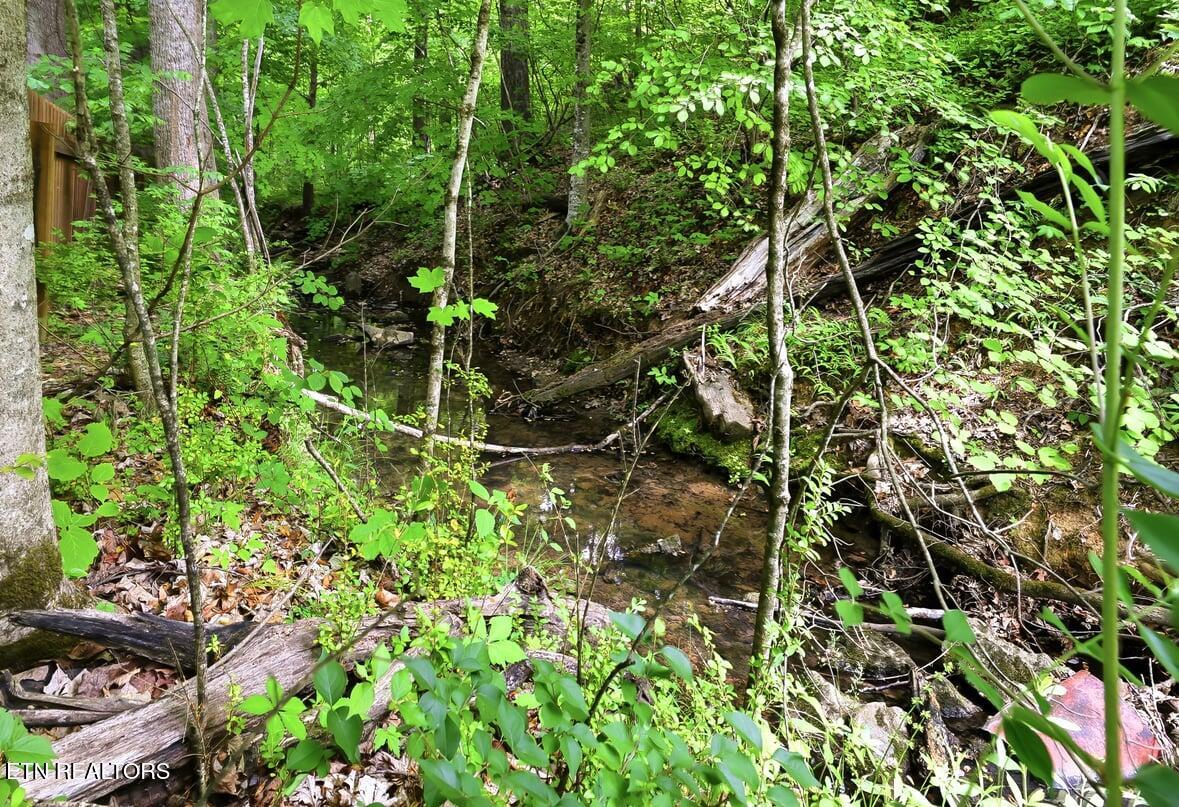 3225 Red Meadow Road Knoxville TN 37931