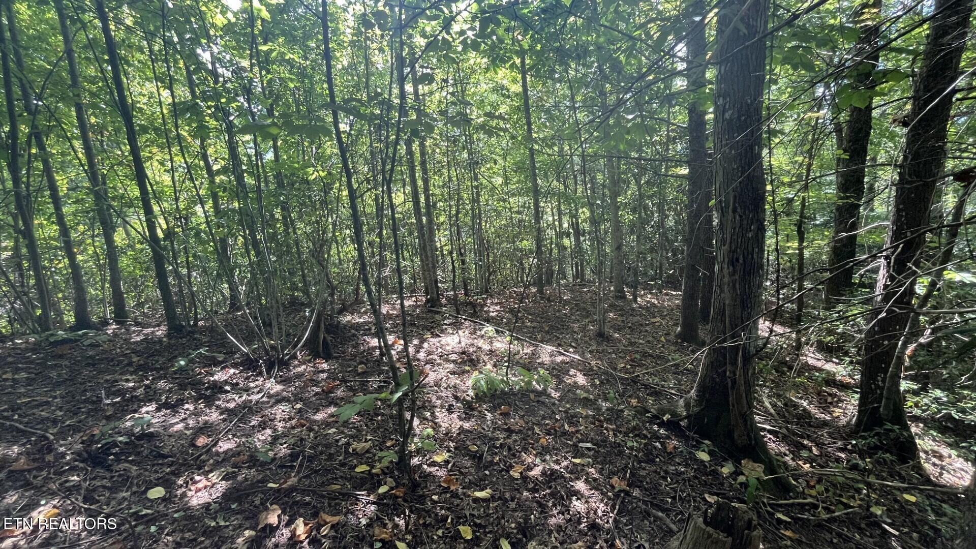 326 Overview Gatlinburg TN 37738