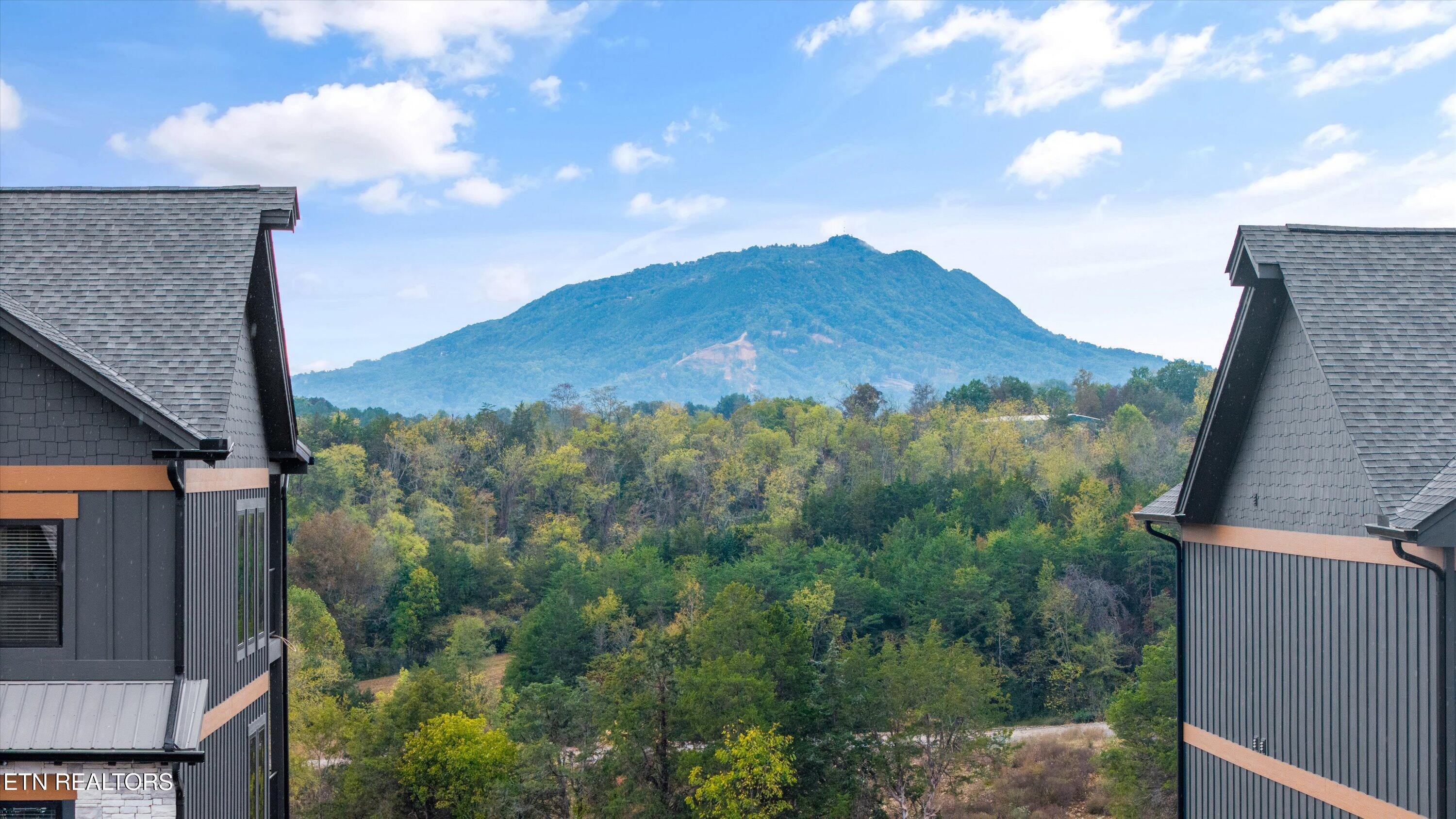 331 Rambling Creek Way Sevierville TN 37862