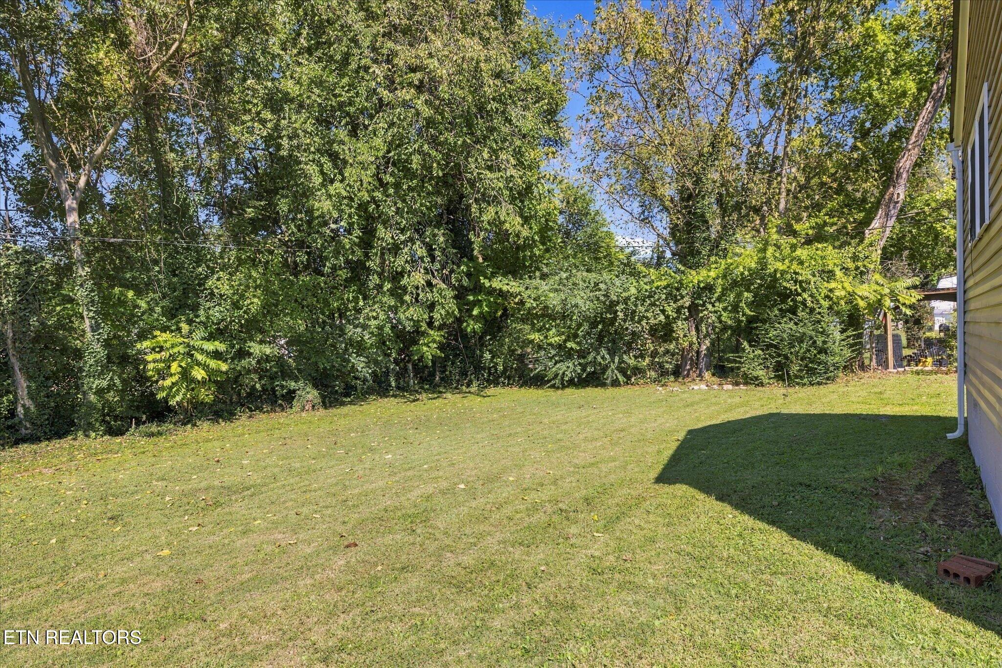 3207 Selma Avenue Knoxville TN 37914