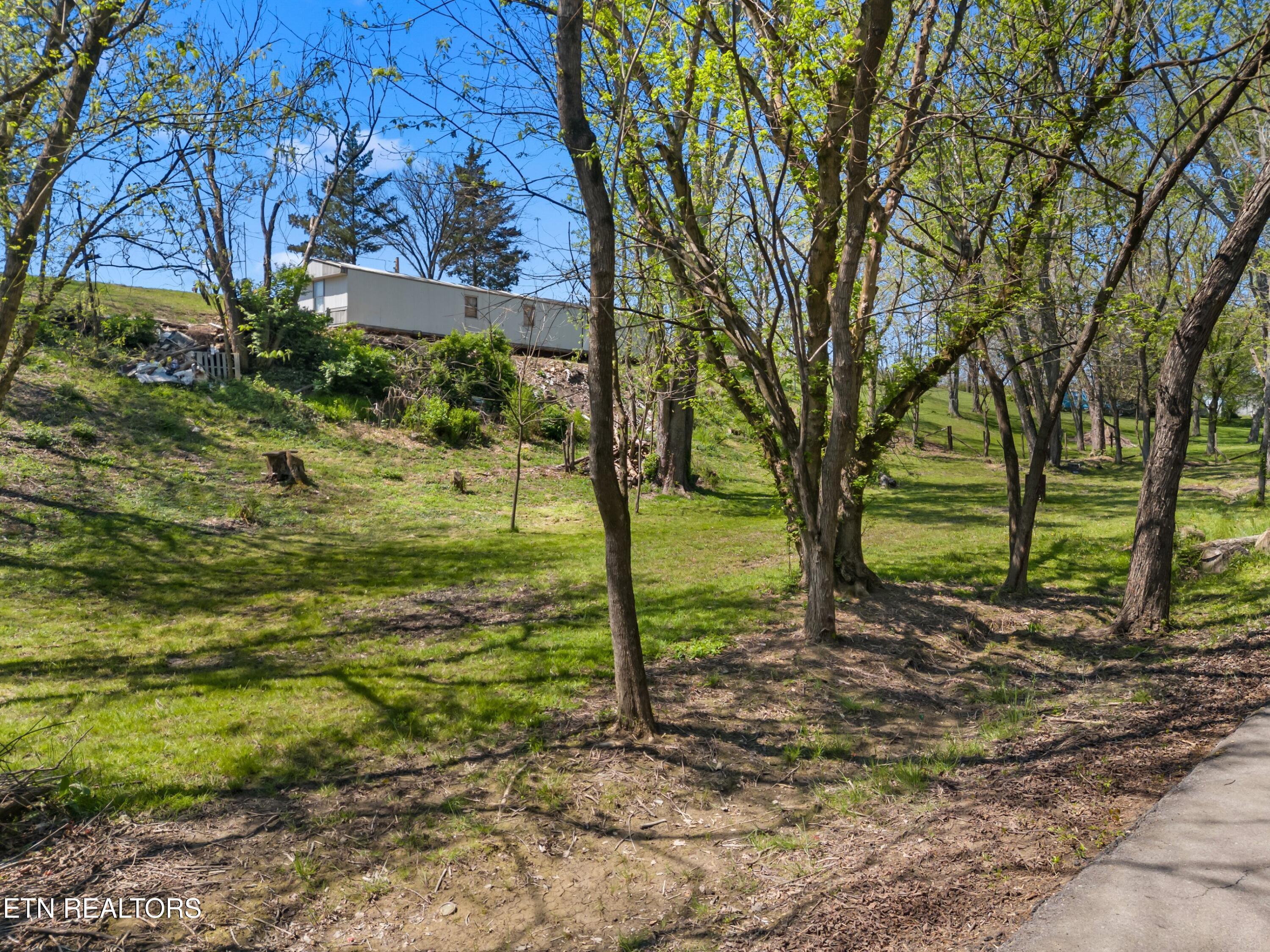 115 Melrose Avenue Bulls Gap TN 37711