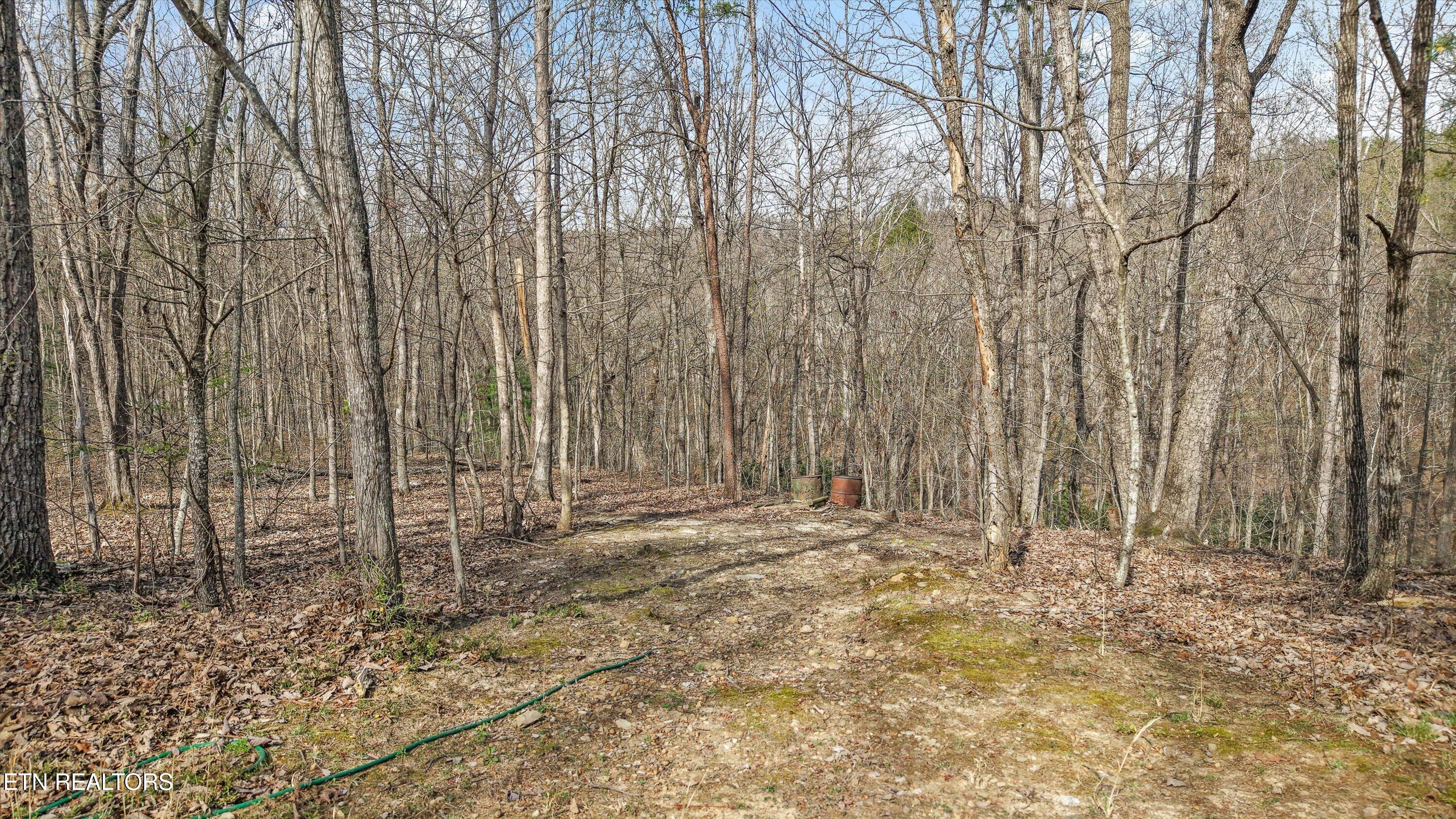 3670 Chilhowee Trail Maryville TN 37803
