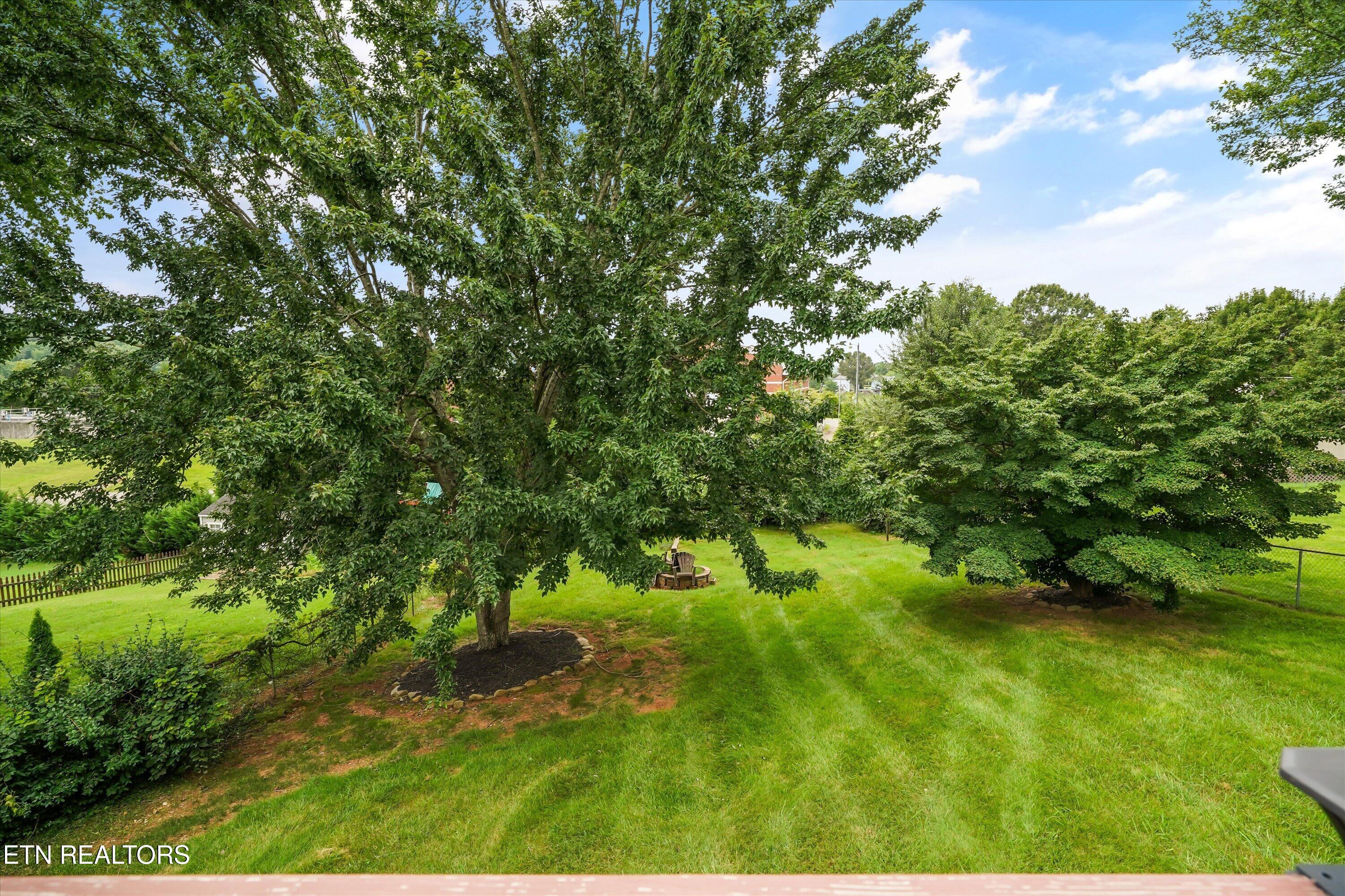 925 Tree Trunk Road Knoxville TN 37934