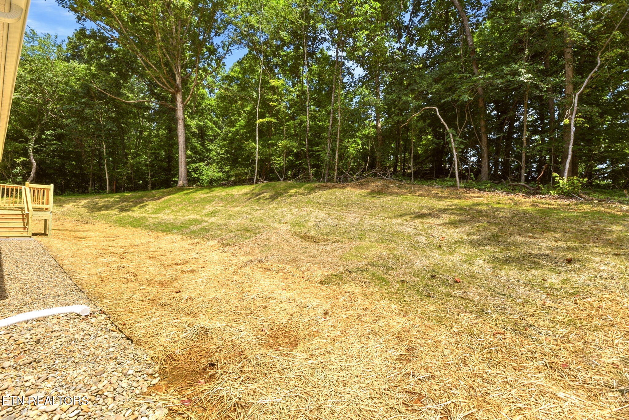 3334 Shipe Road Corryton TN 37721