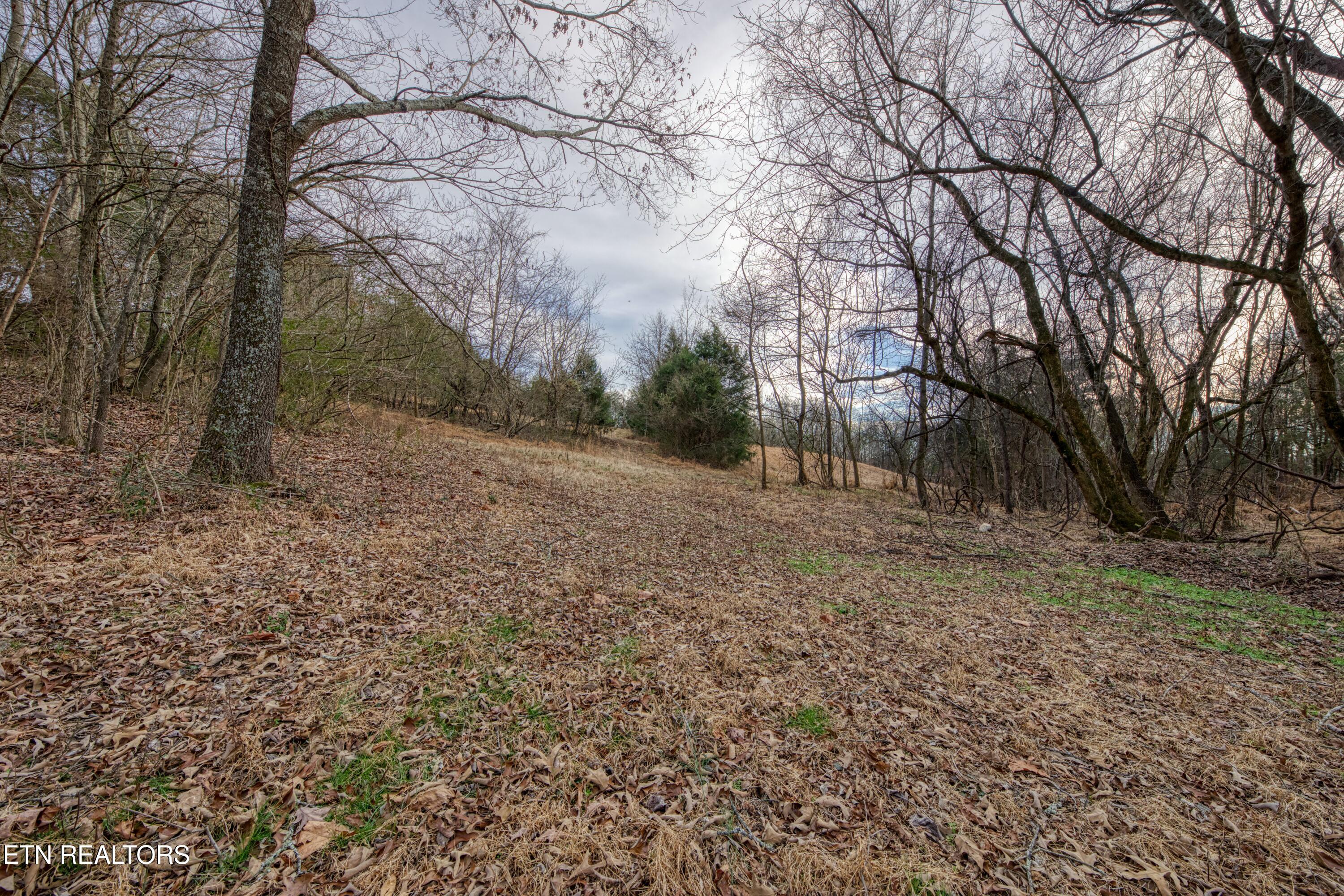 2415 Riddle Road New Market TN 37820