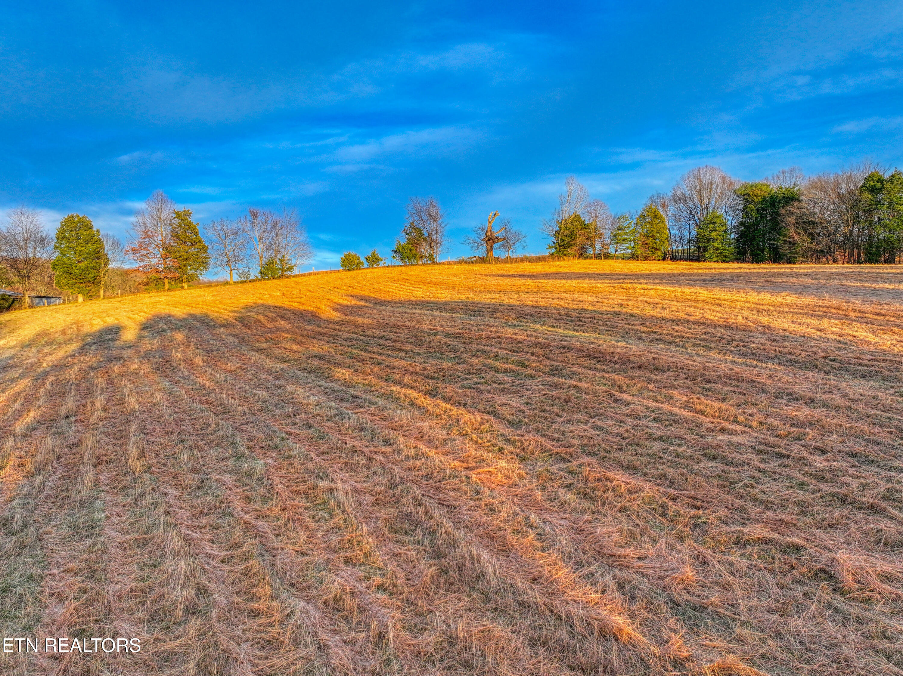 2415 Riddle Road New Market TN 37820