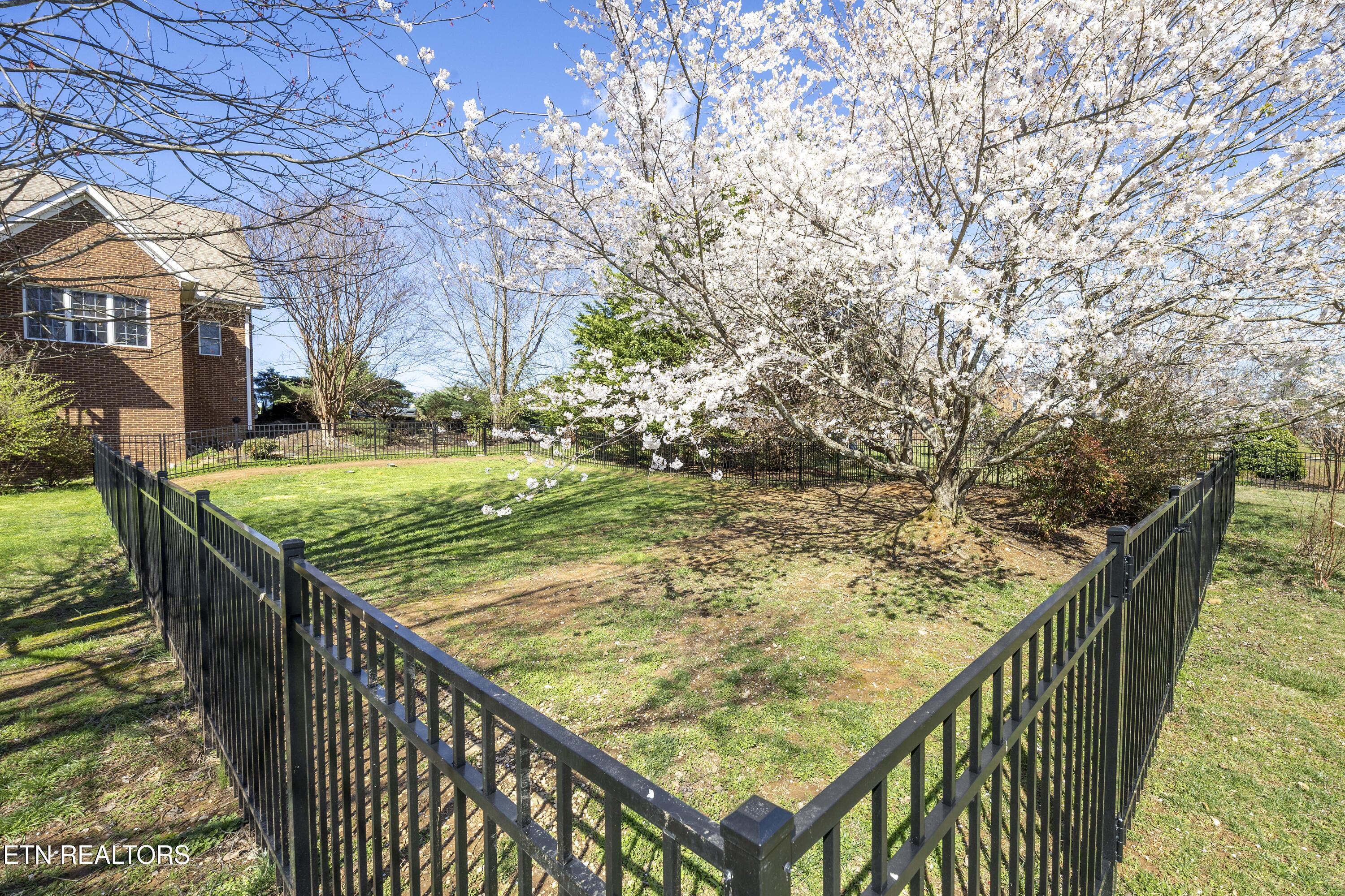 6736 Ingleside Lane Knoxville TN 37918