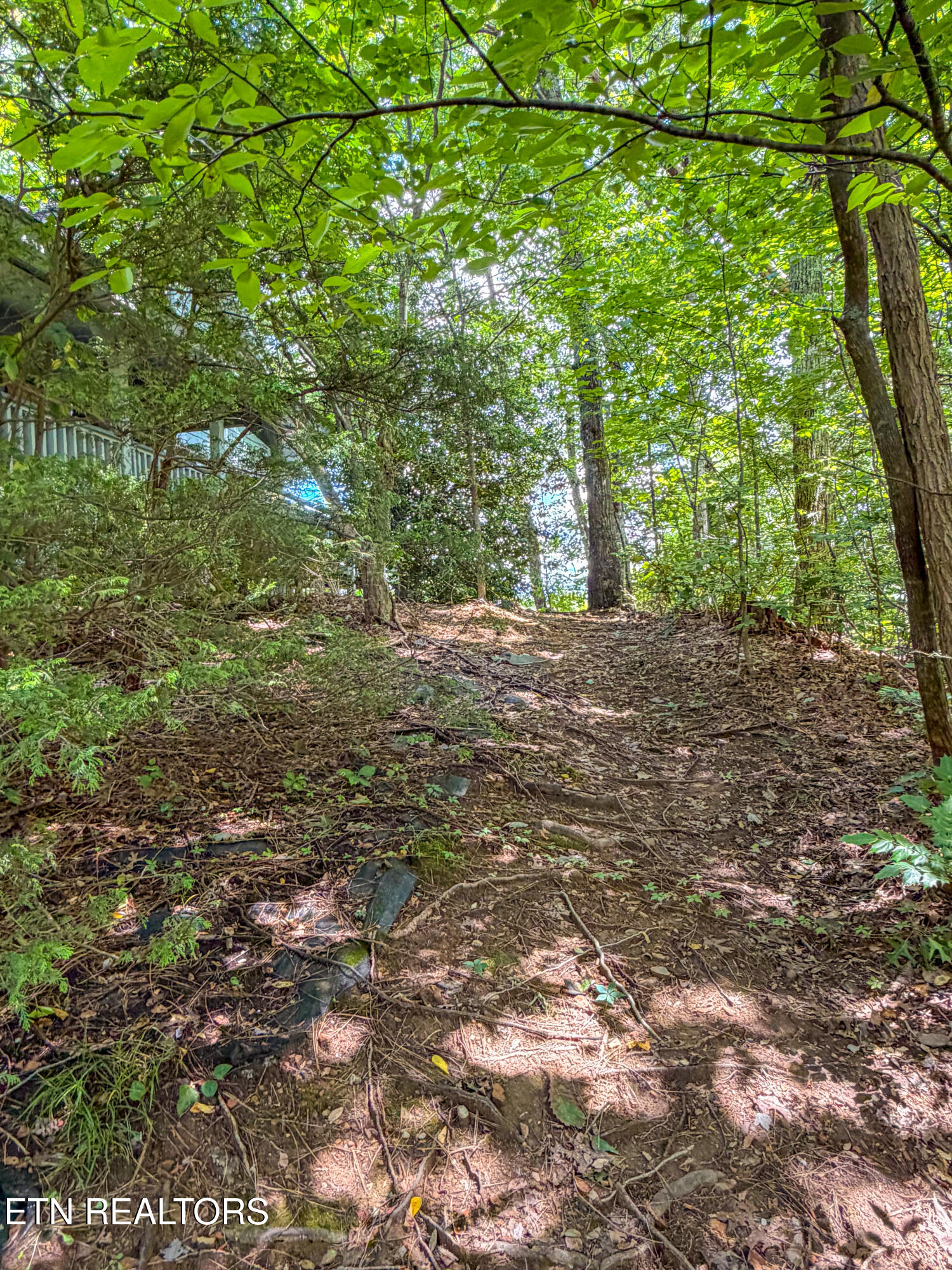 440 Deer Path Lane Gatlinburg TN 37738