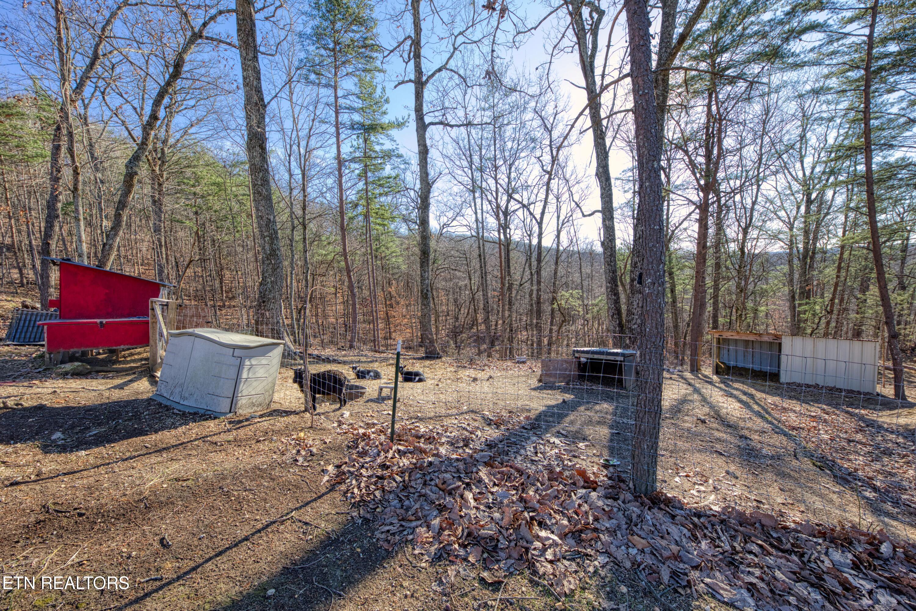 1447 Stony Point Road Knoxville TN 37914